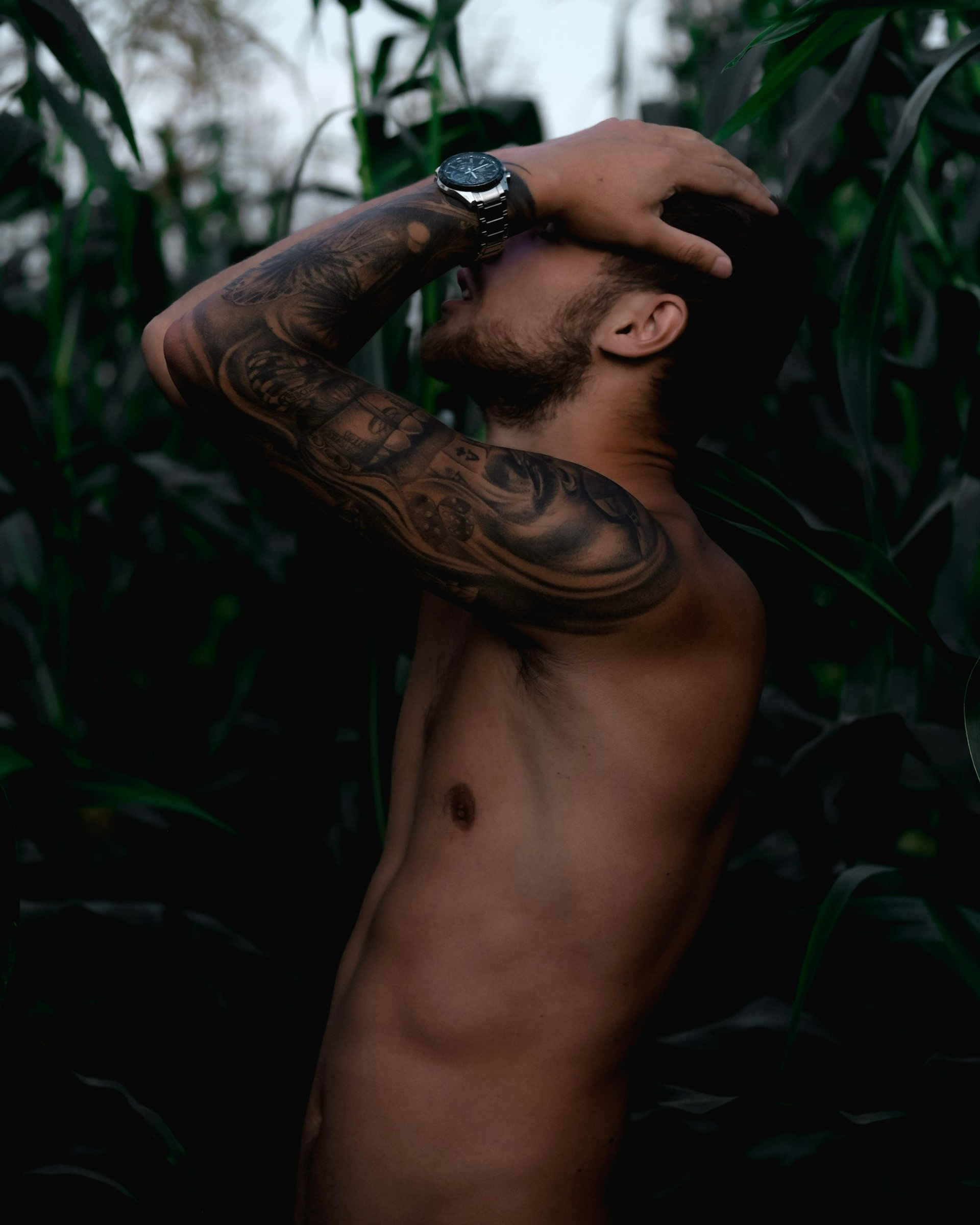 Голый мужчина в кукурузном поле