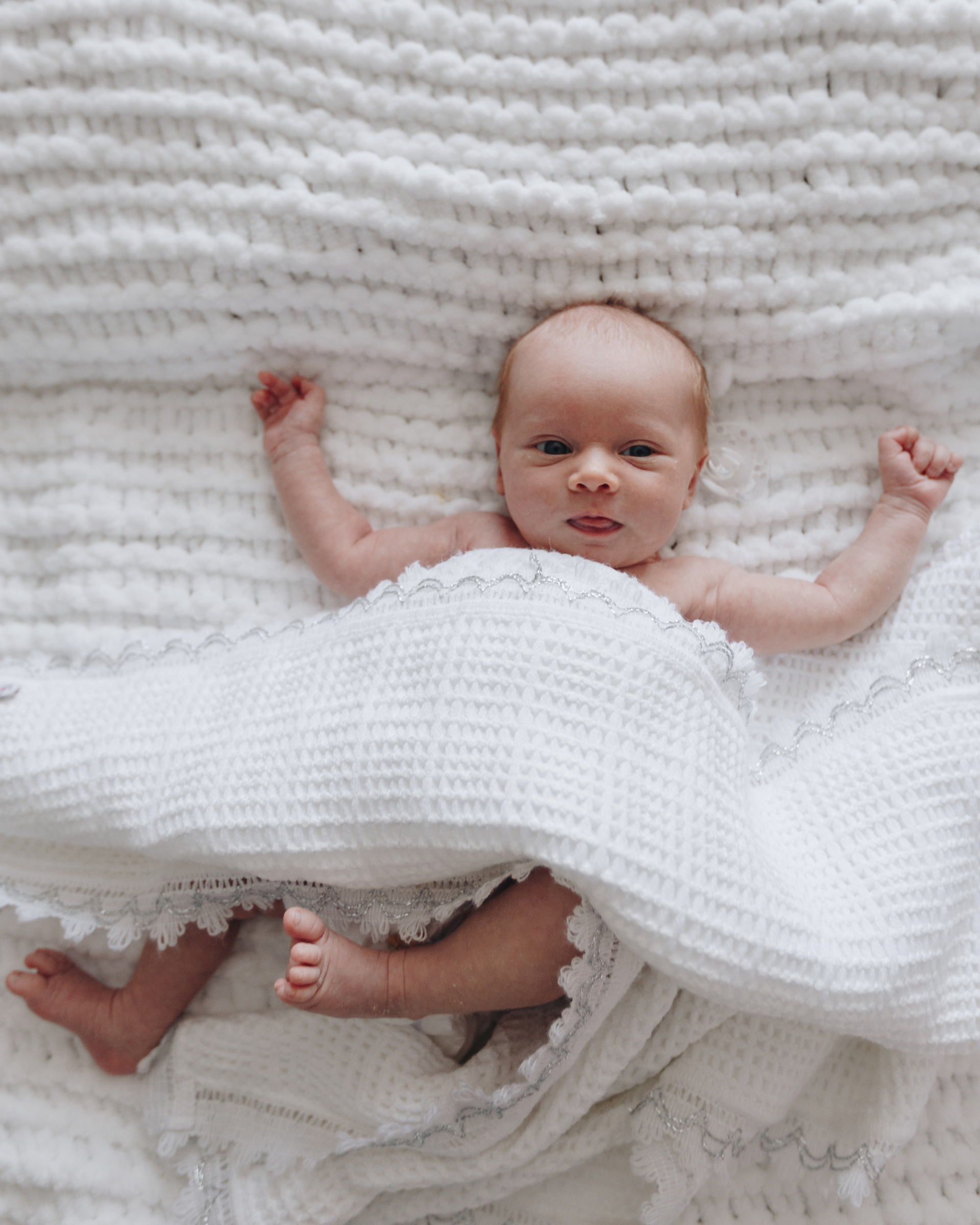 Светина Черничка