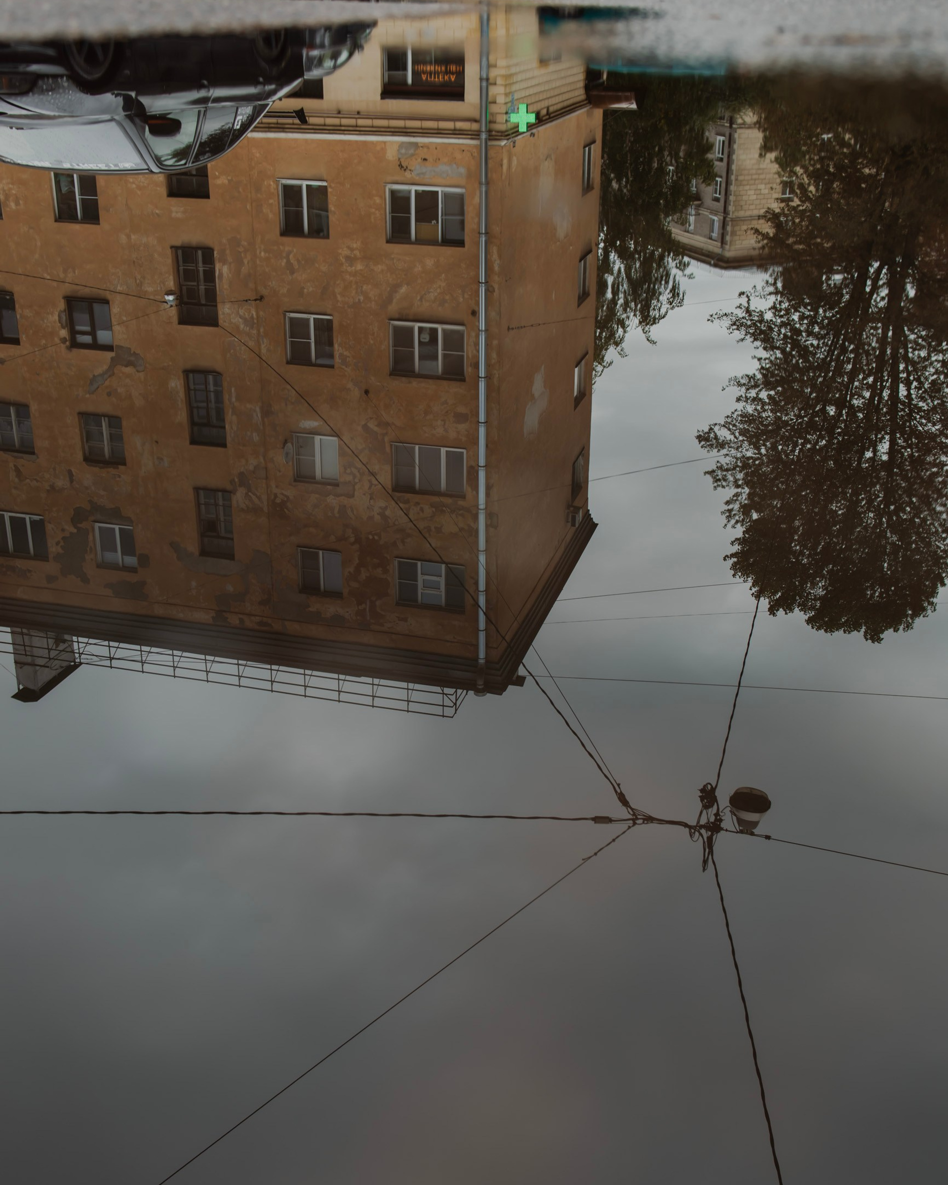 Reflections