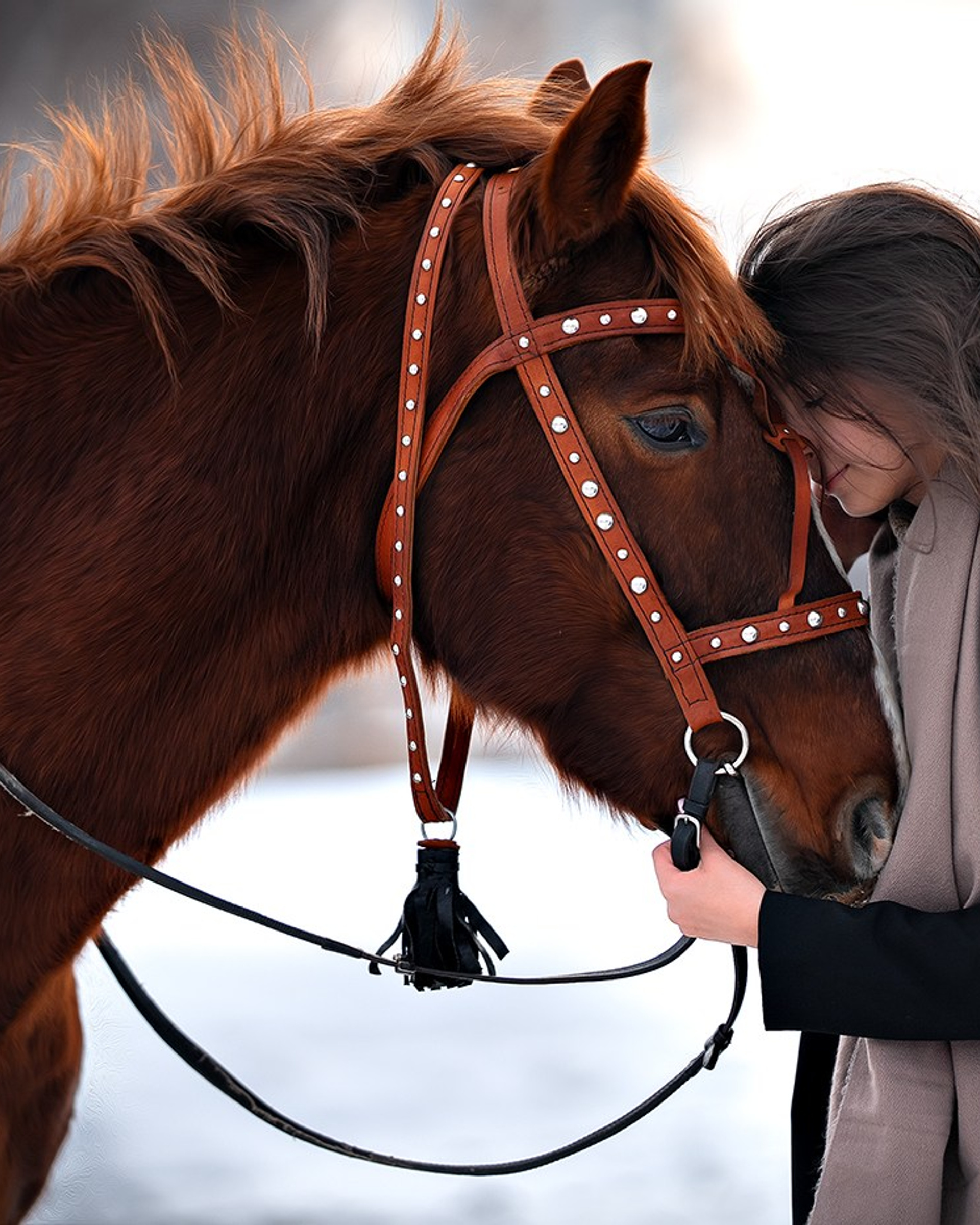 Год огненной лошадки