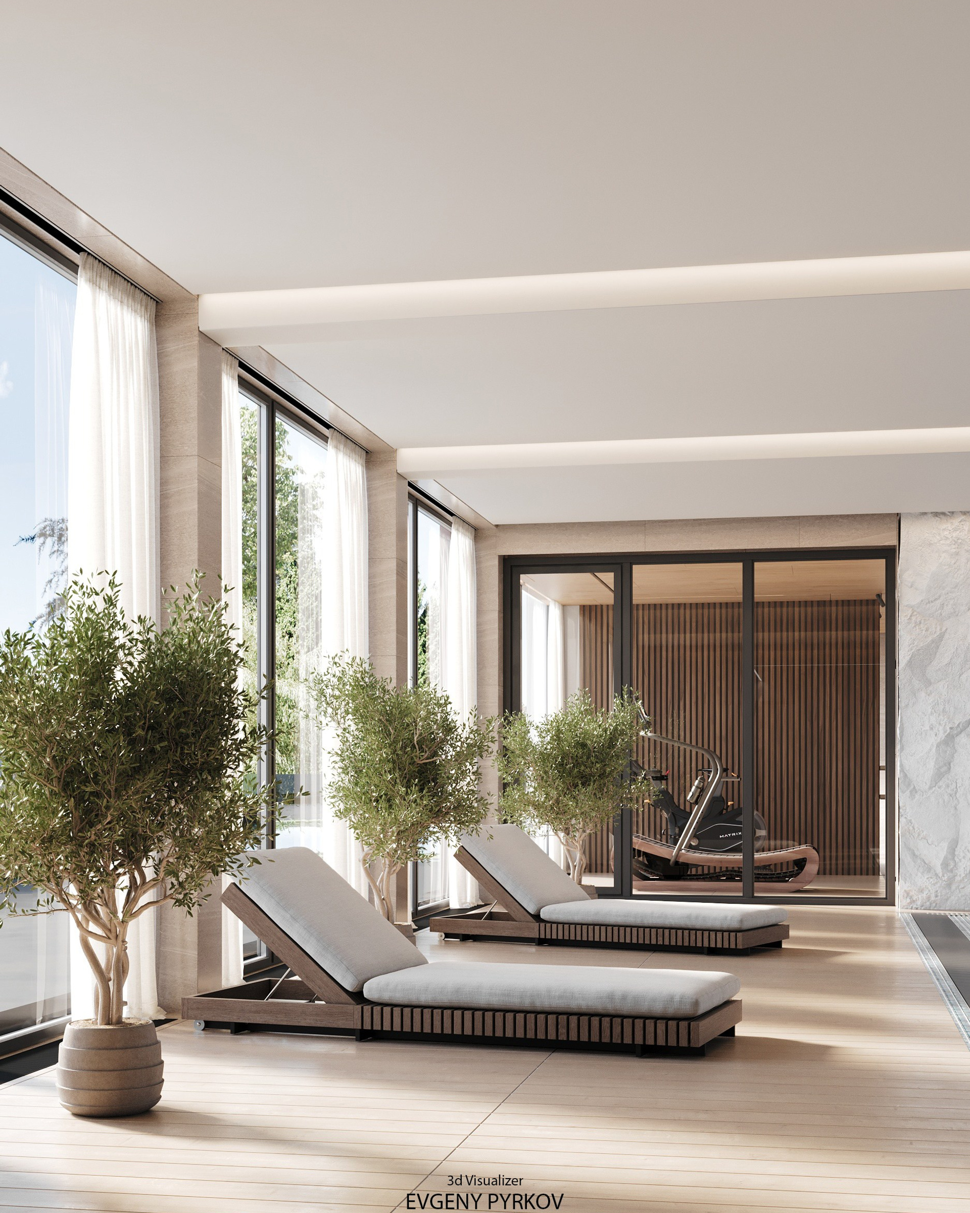 Бассейн со спортзалом, хамамом и сауной в большом доме.