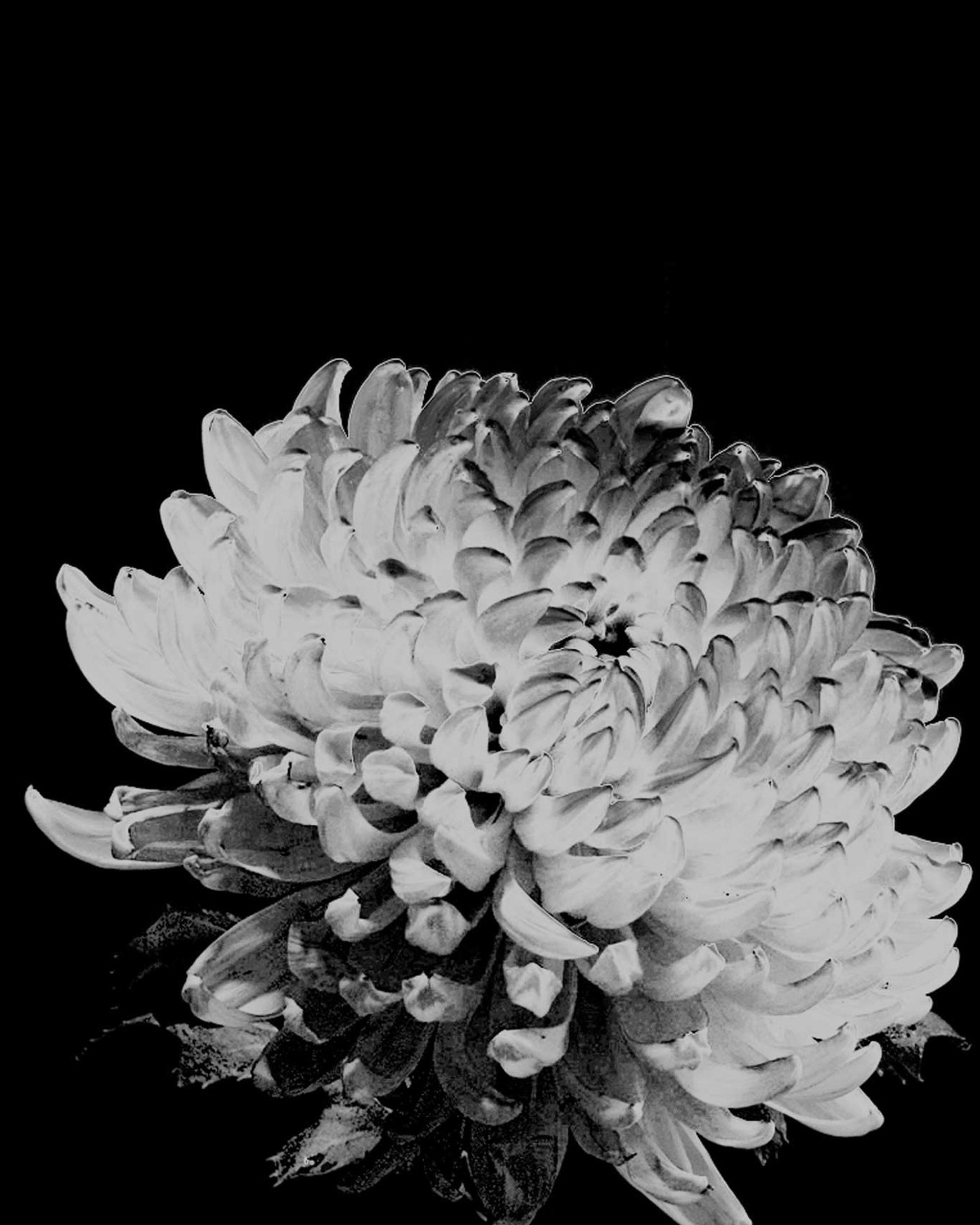 Проект «Женская сила»