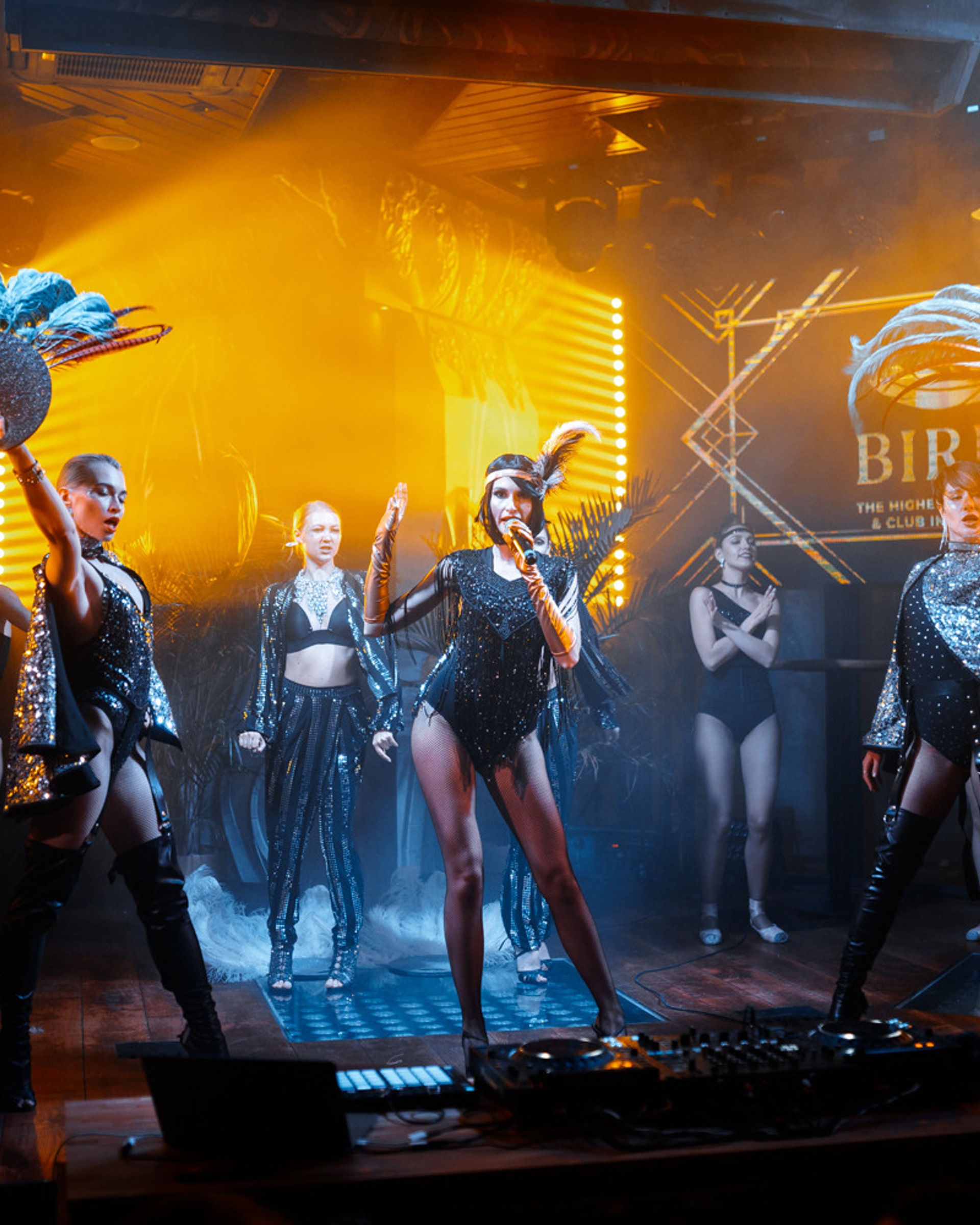 Сложный свет и Атмосфера (BIRDS)