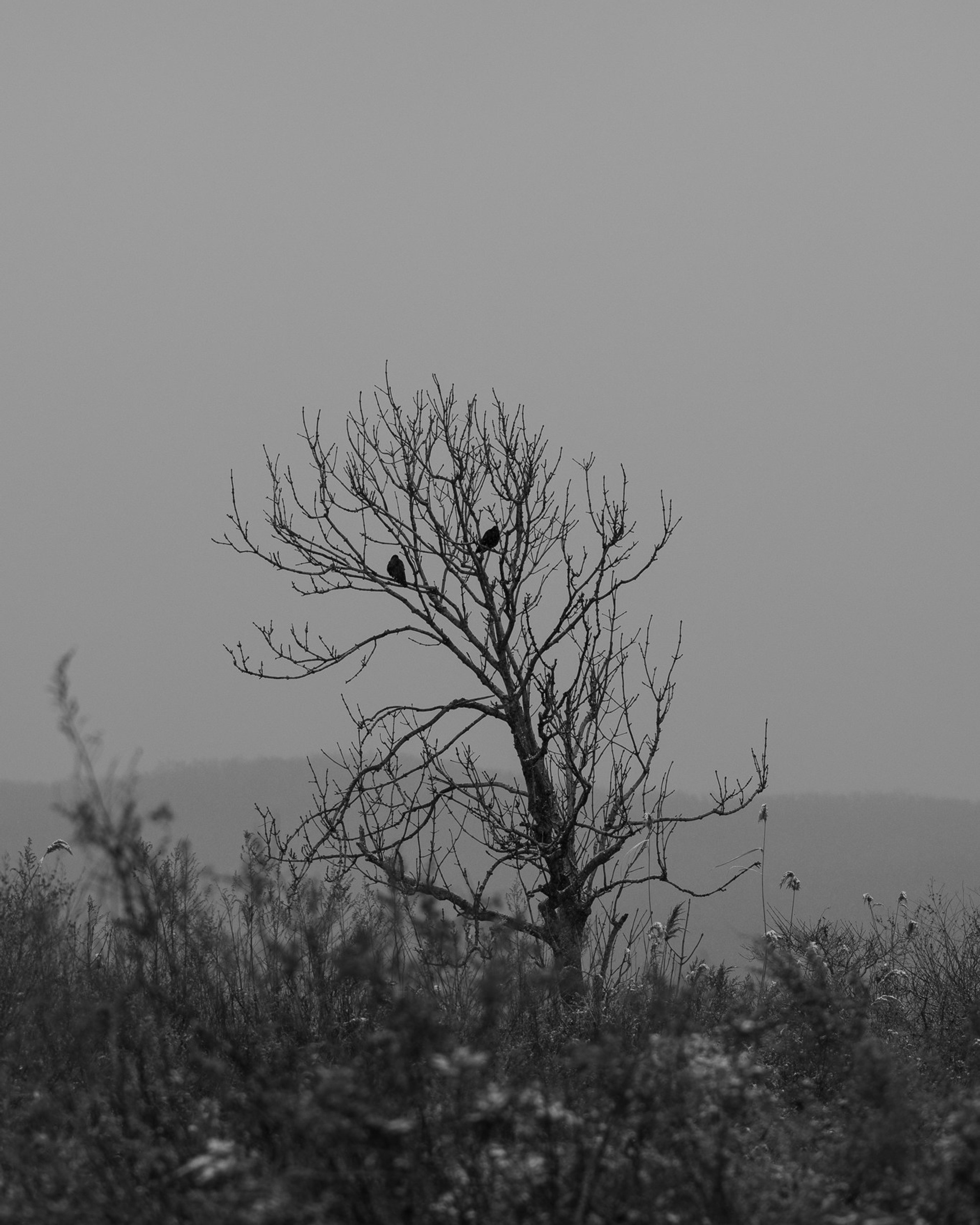 Забытая деревня