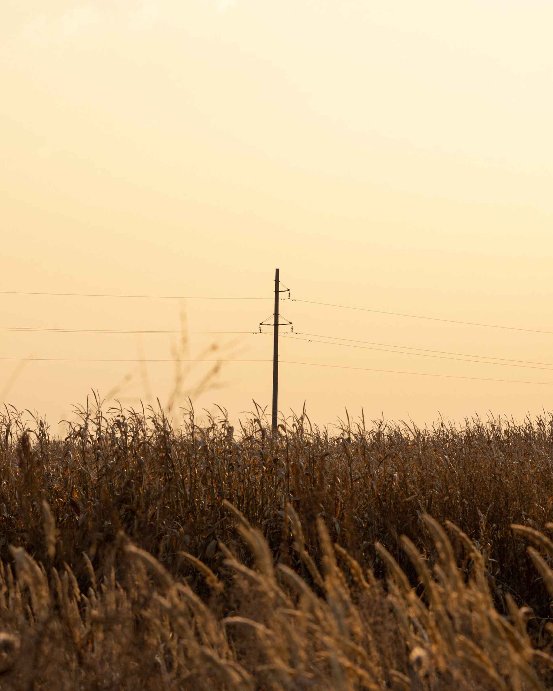Дорога в деревню
