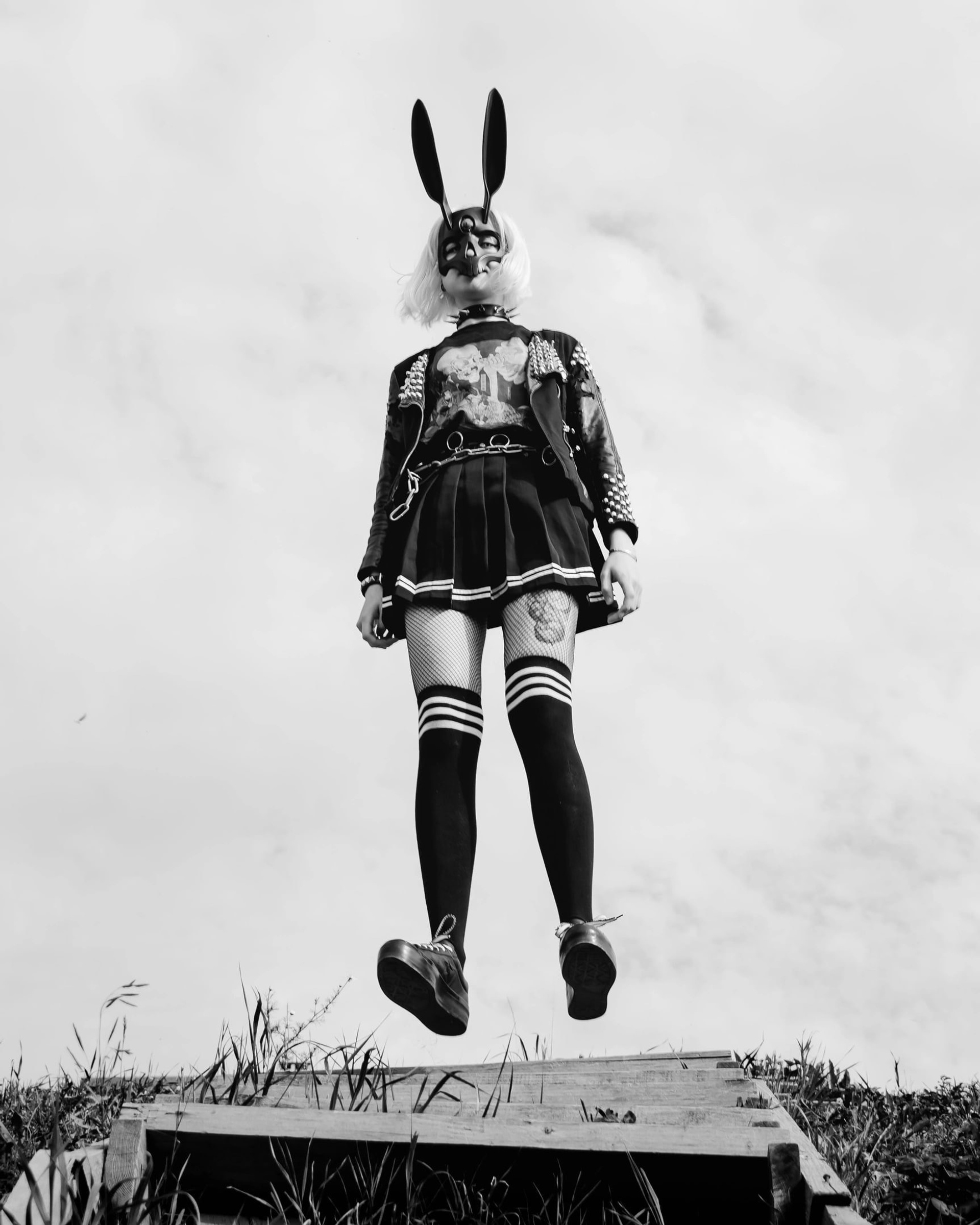 Черный кролик