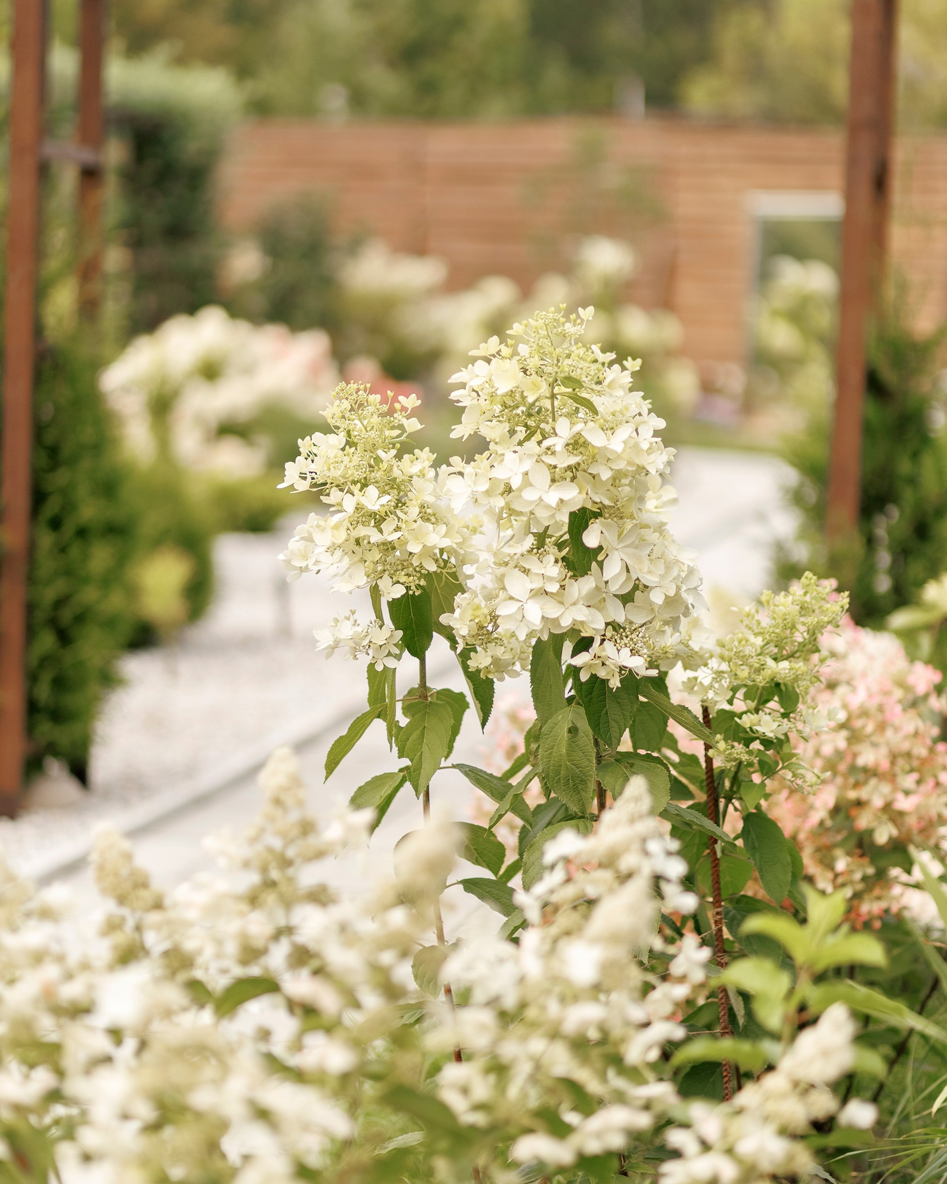 Парк-заповедник Купидон