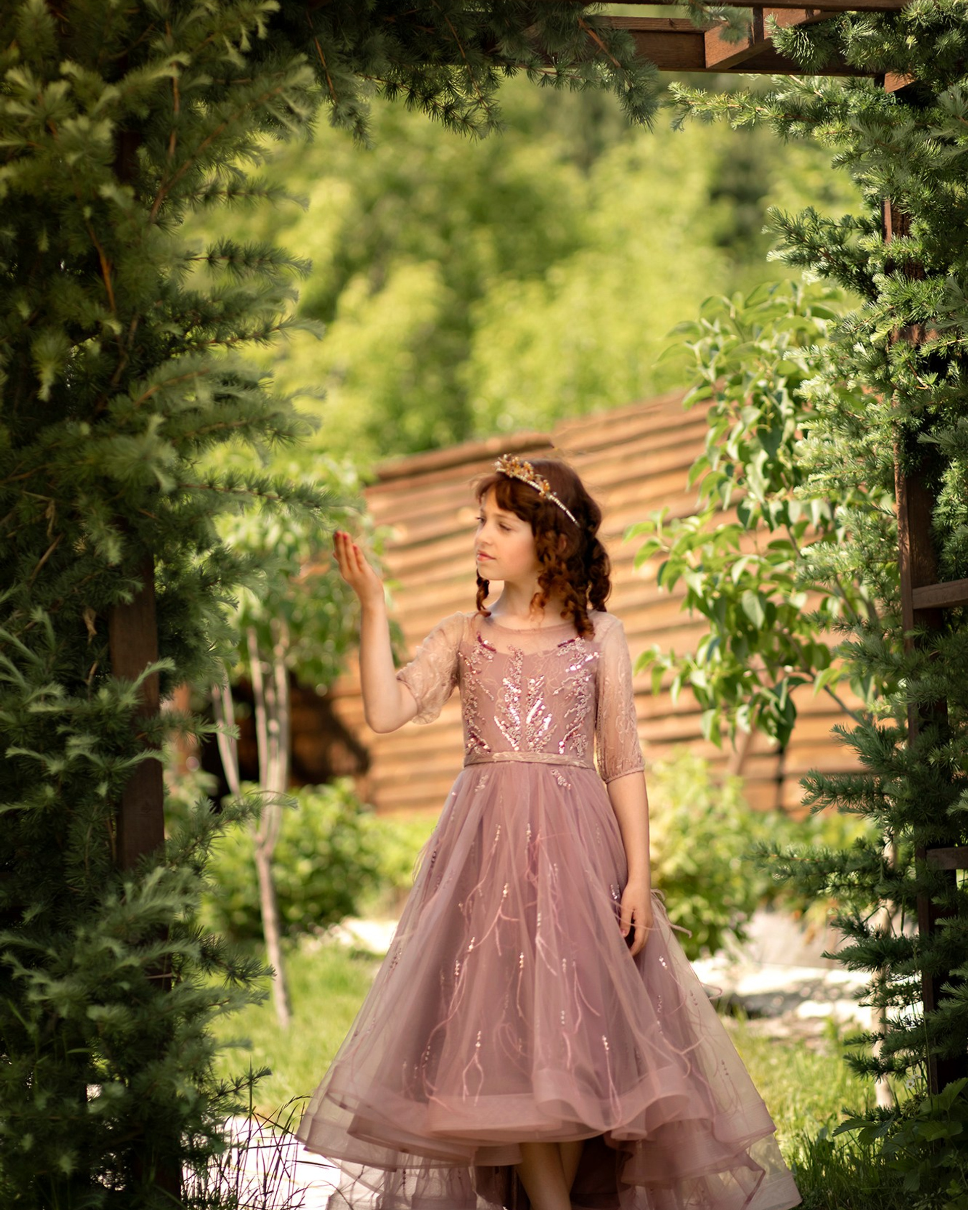 Проект «Принцесса»