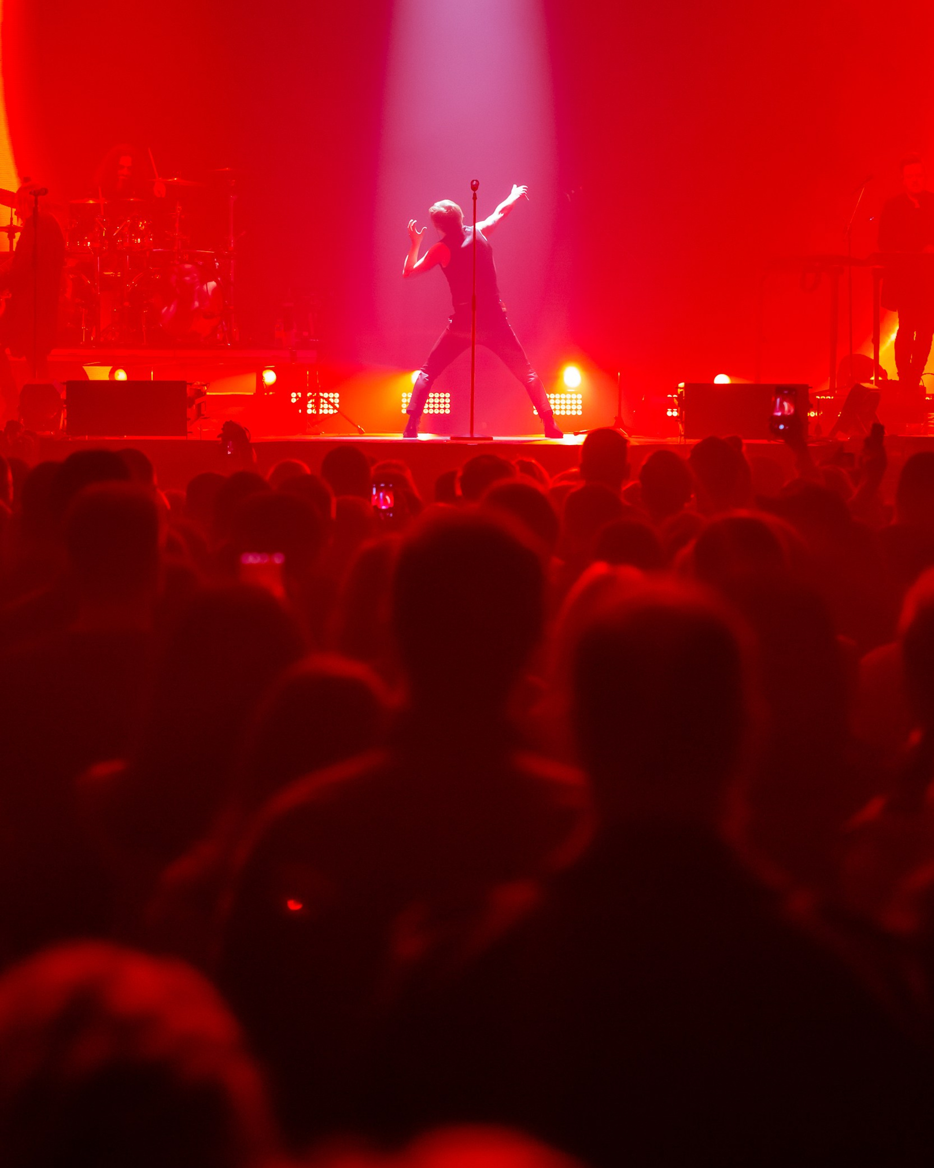 Концерты и шоу