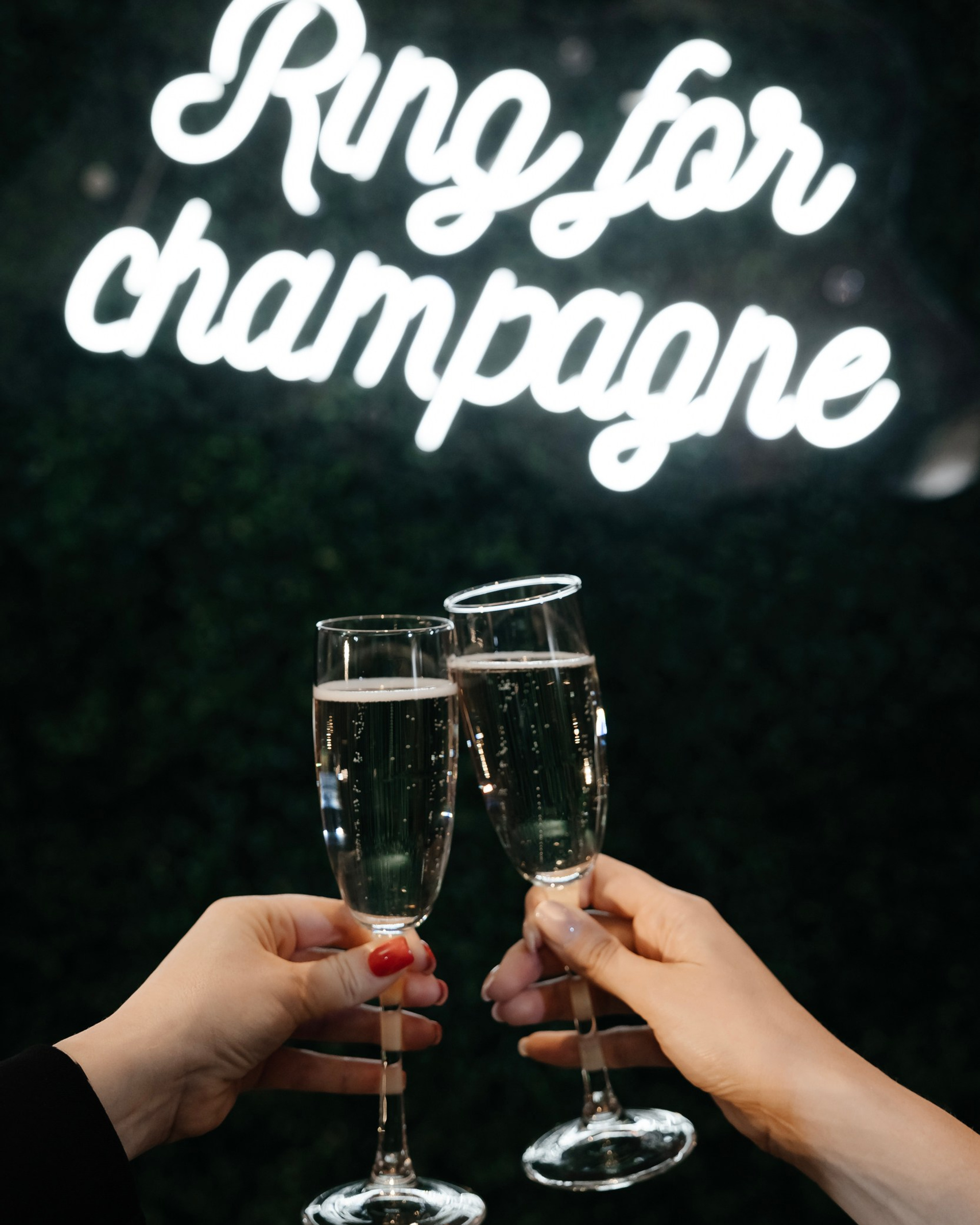 Гала ужин Ренессанс Отель