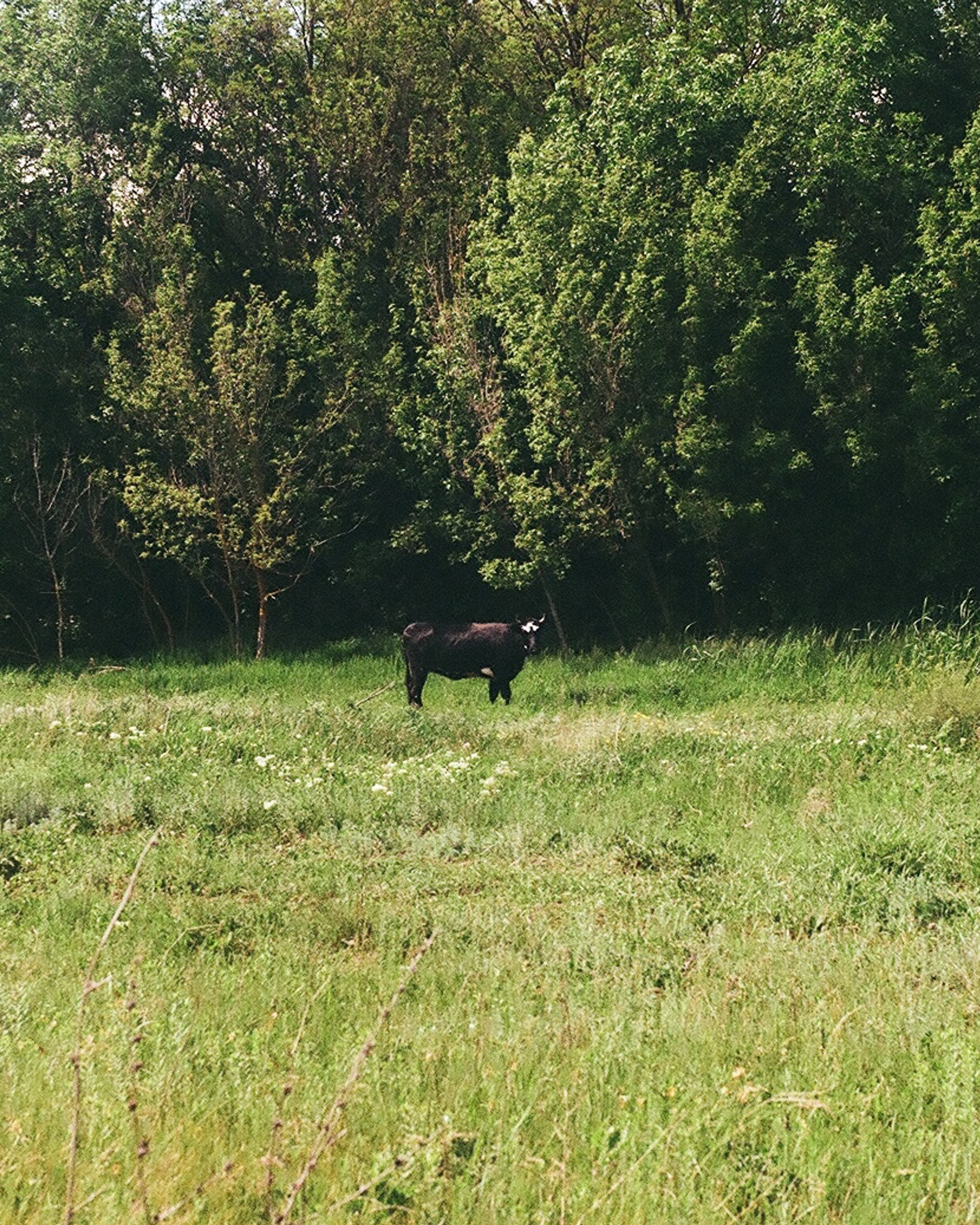 Фотографии на пленку