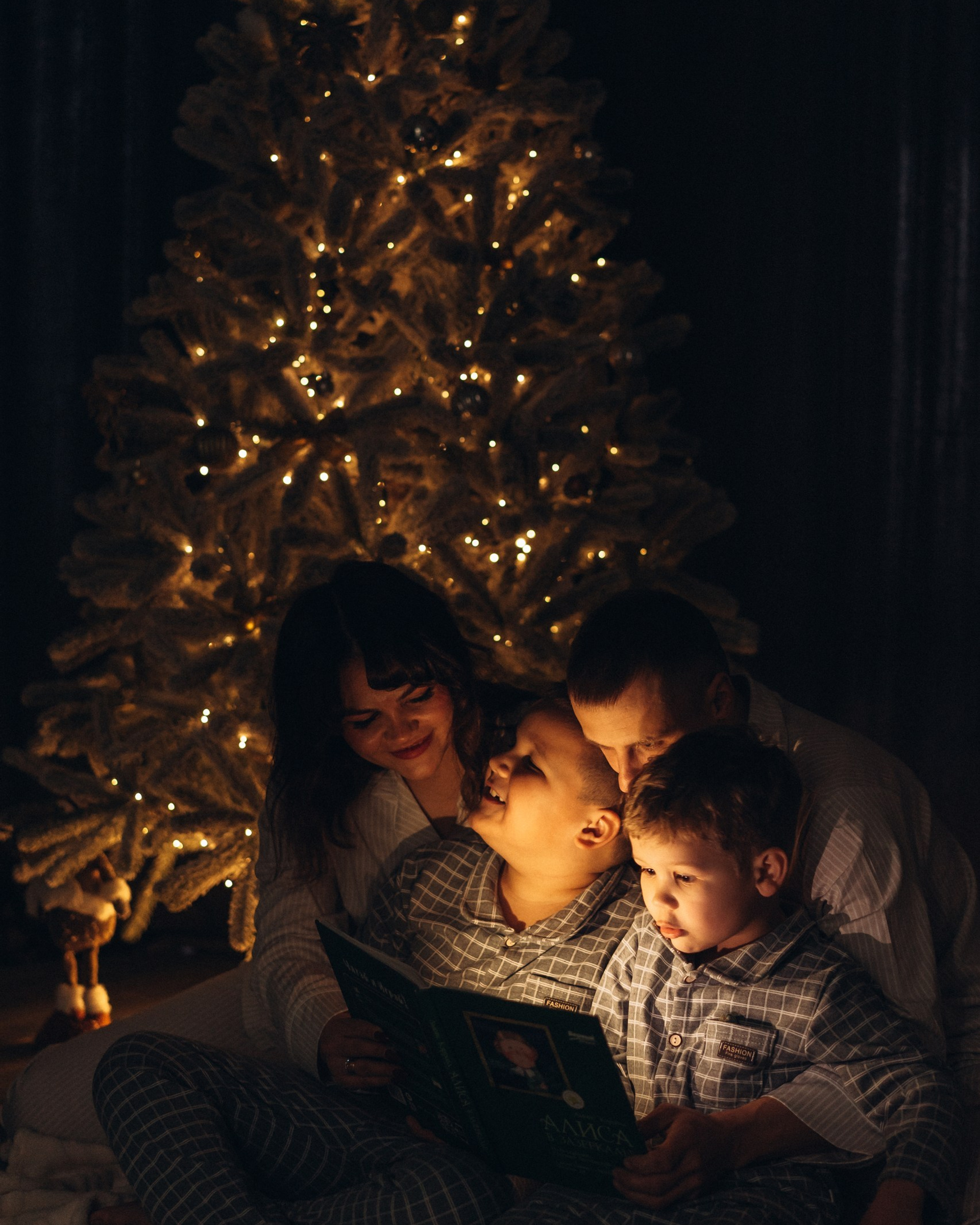 Домашняя новогодняя съемка