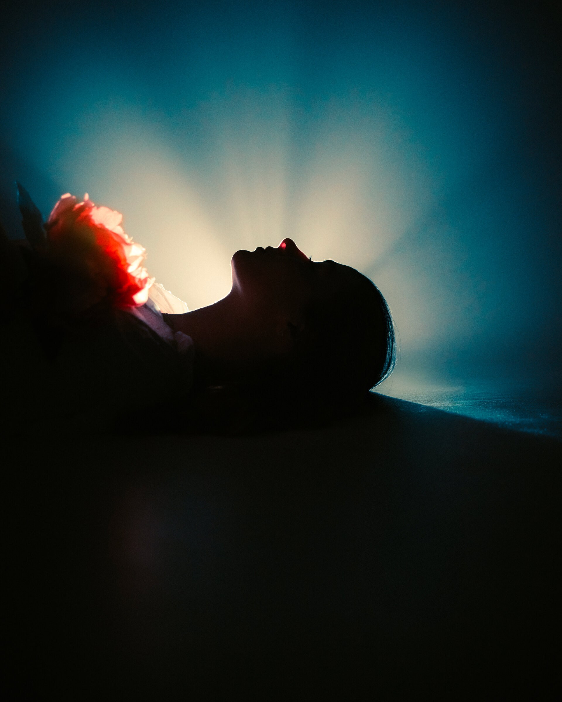 Зацветшая паутина