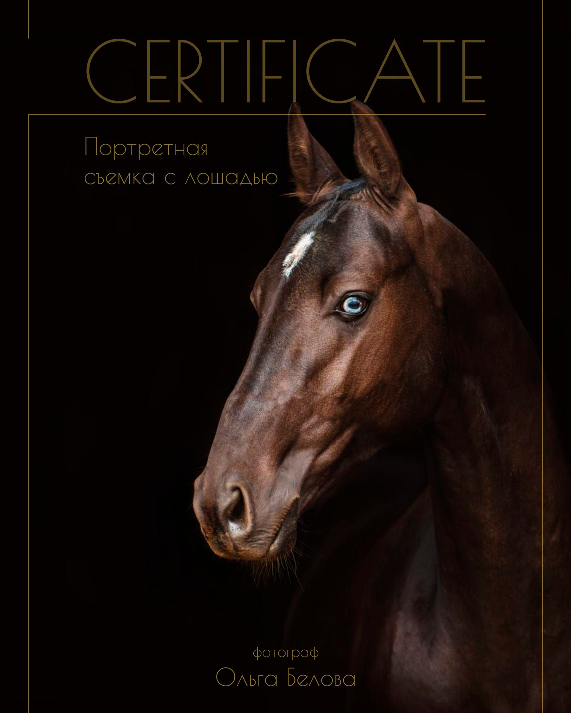 Мужской портрет