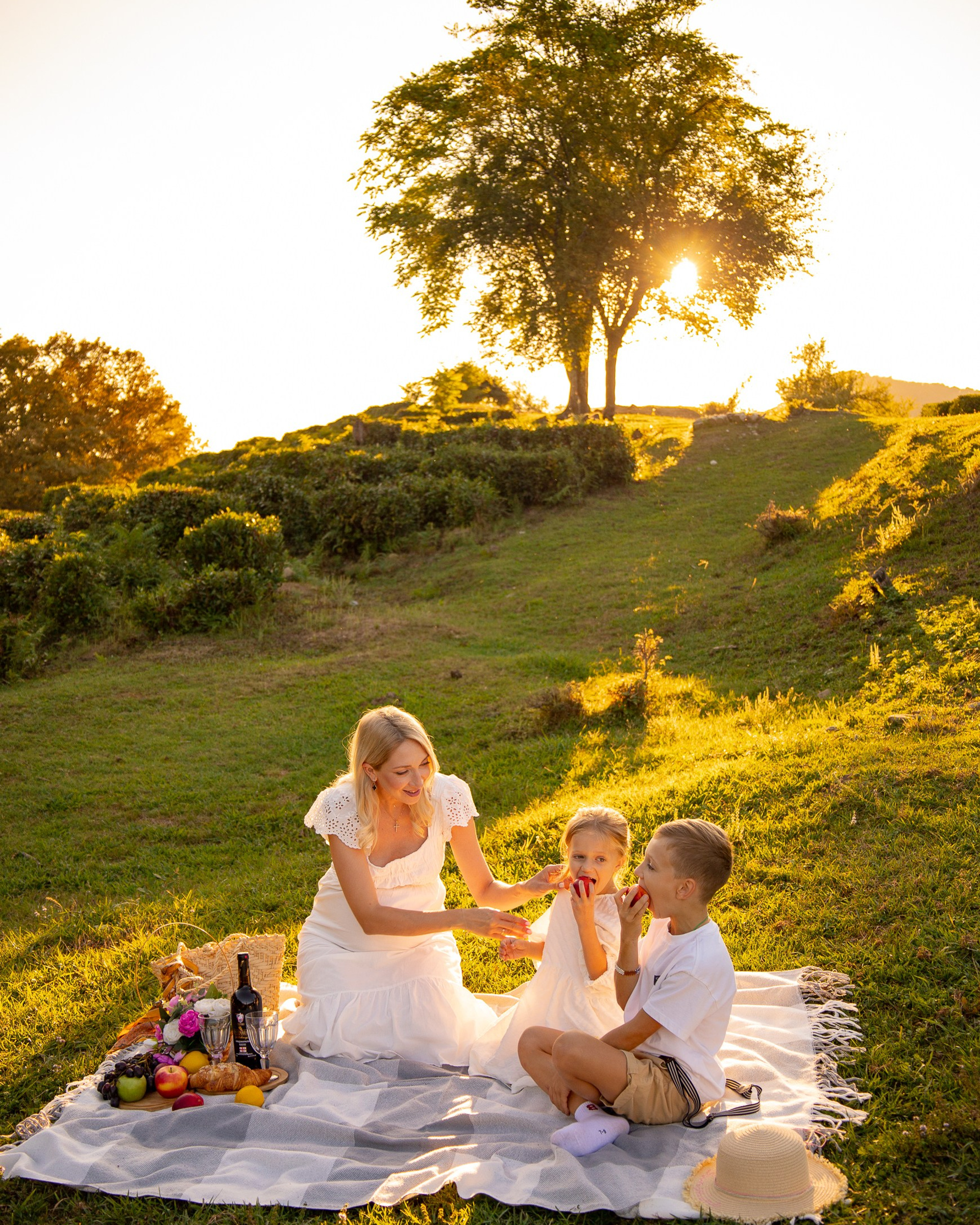 Пикник на&nbsp;Чайных Плантациях