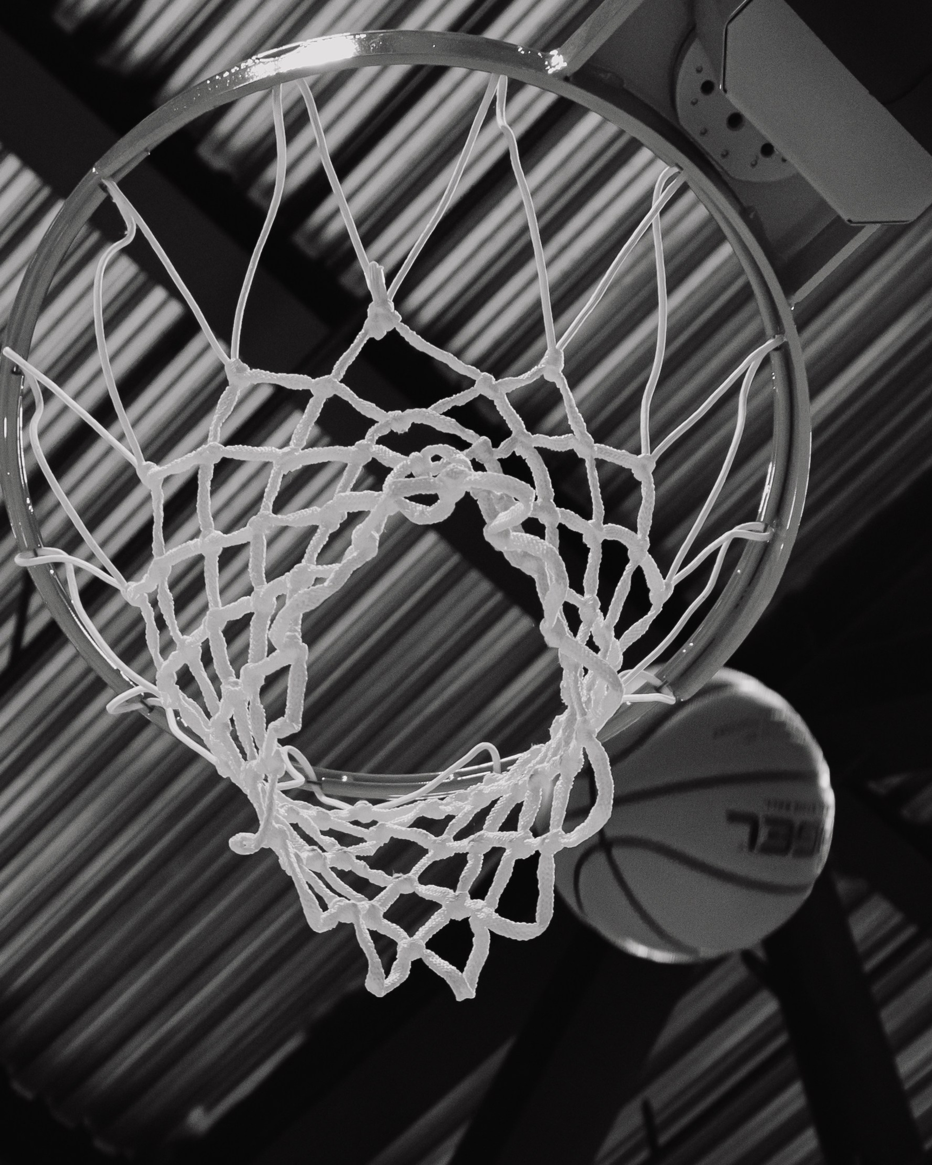 БК УГМК&МИСС ЕКАТЕРИНБУРГ