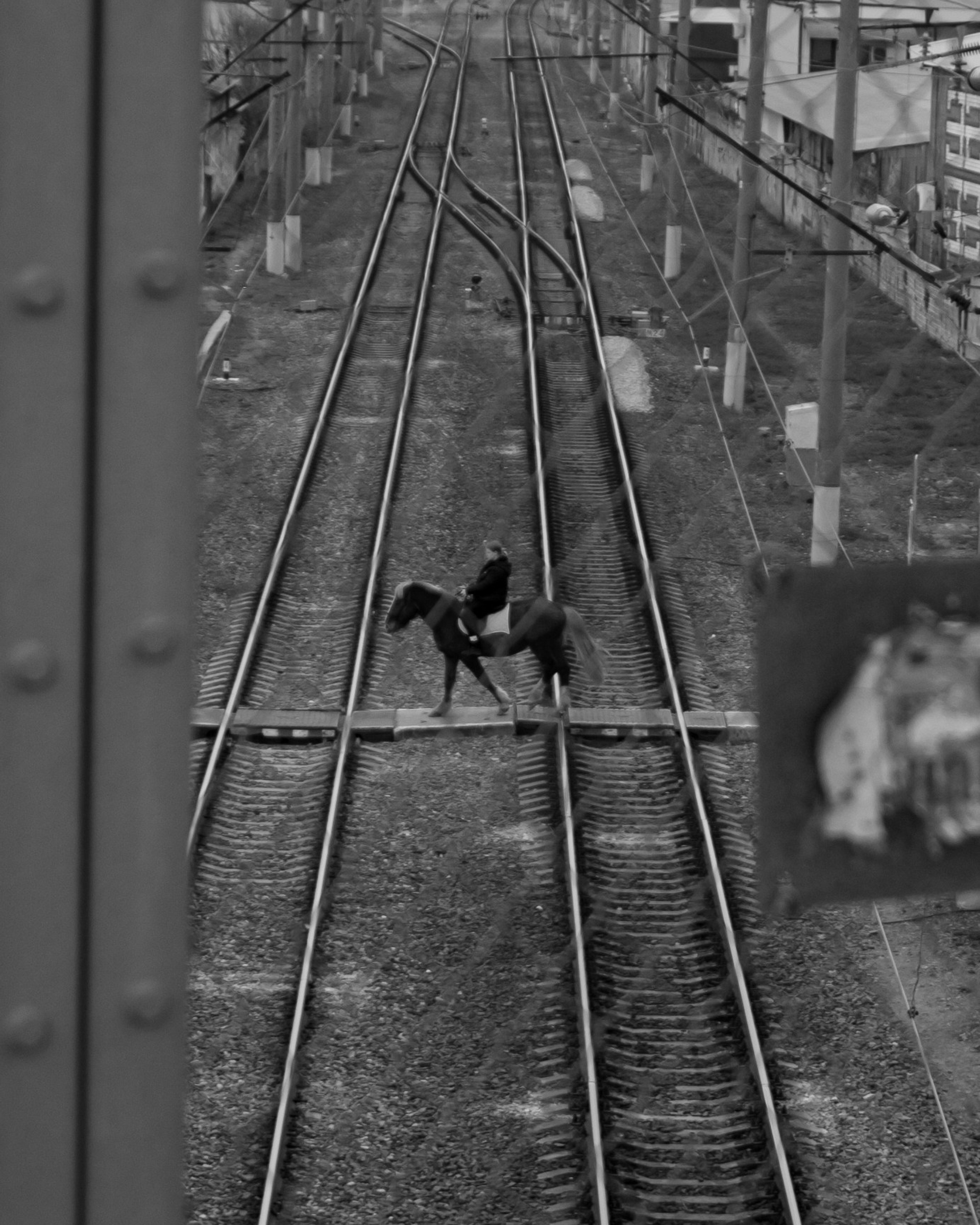 Фотосессия города Краснодар