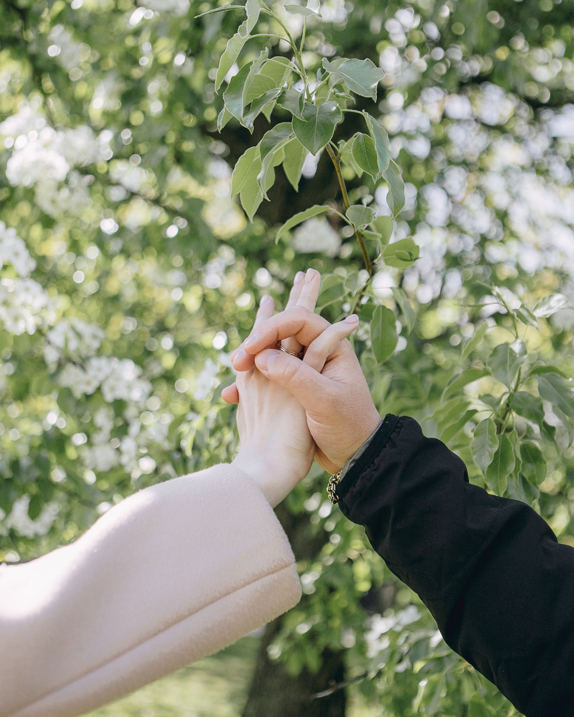 Настя & Дима