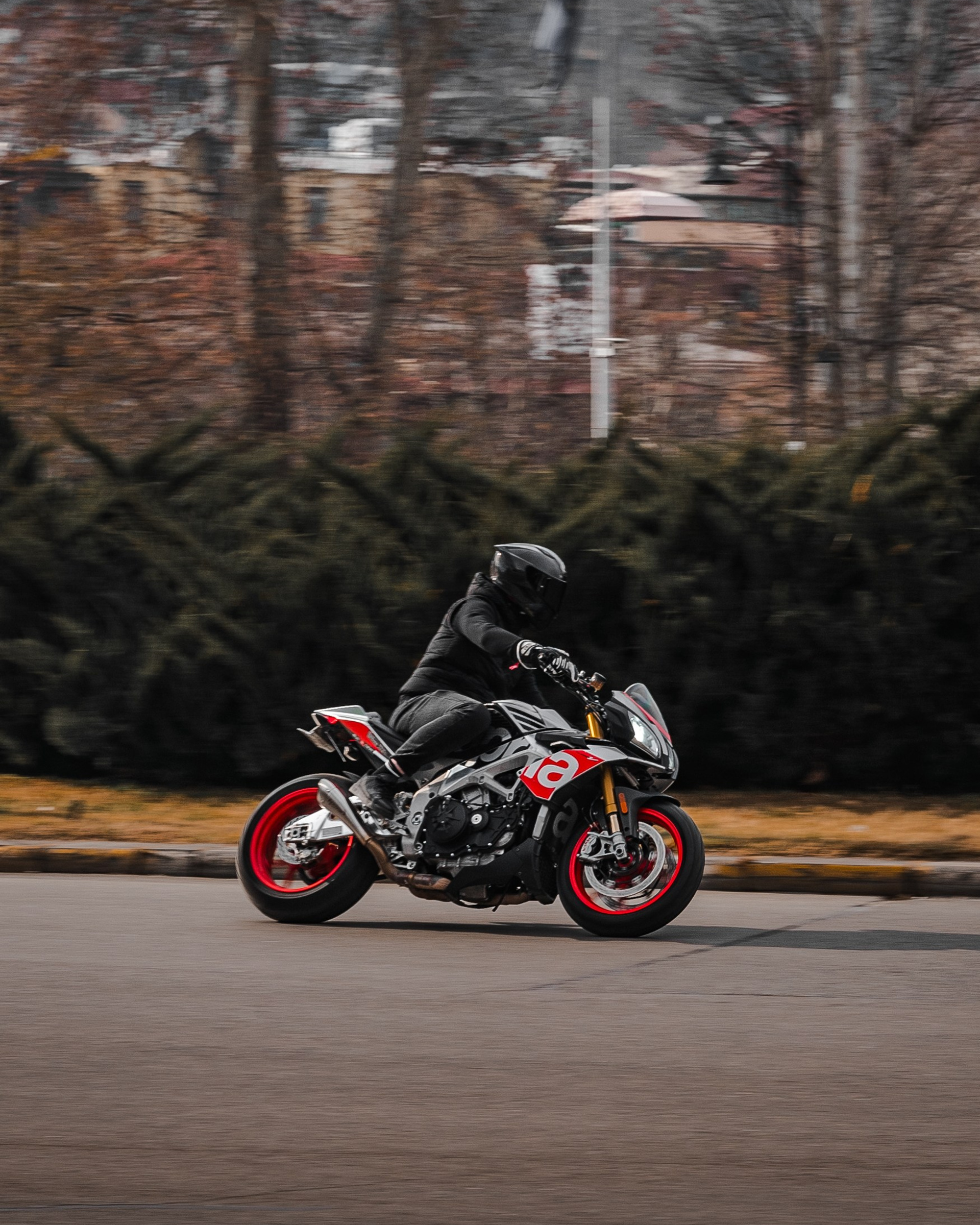 Aprilia Tuono V4 Factory