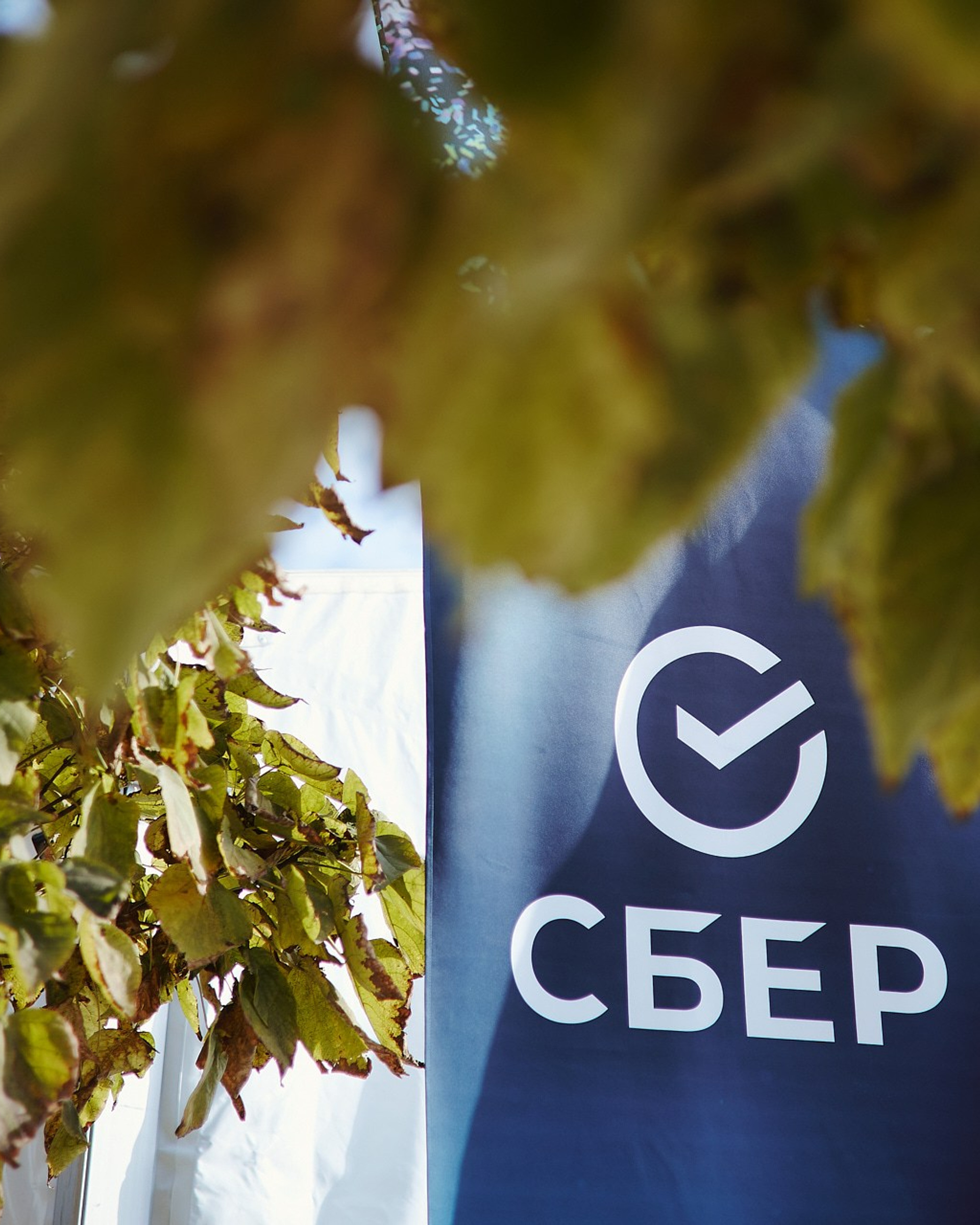 СБЕР Бизнес Фест. Краснодар, ноябрь 2024 г.