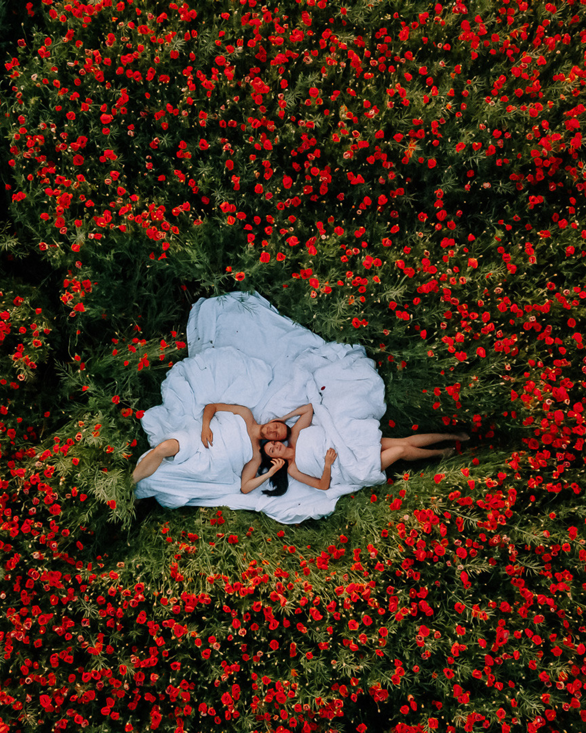 Love in poppies ❤️