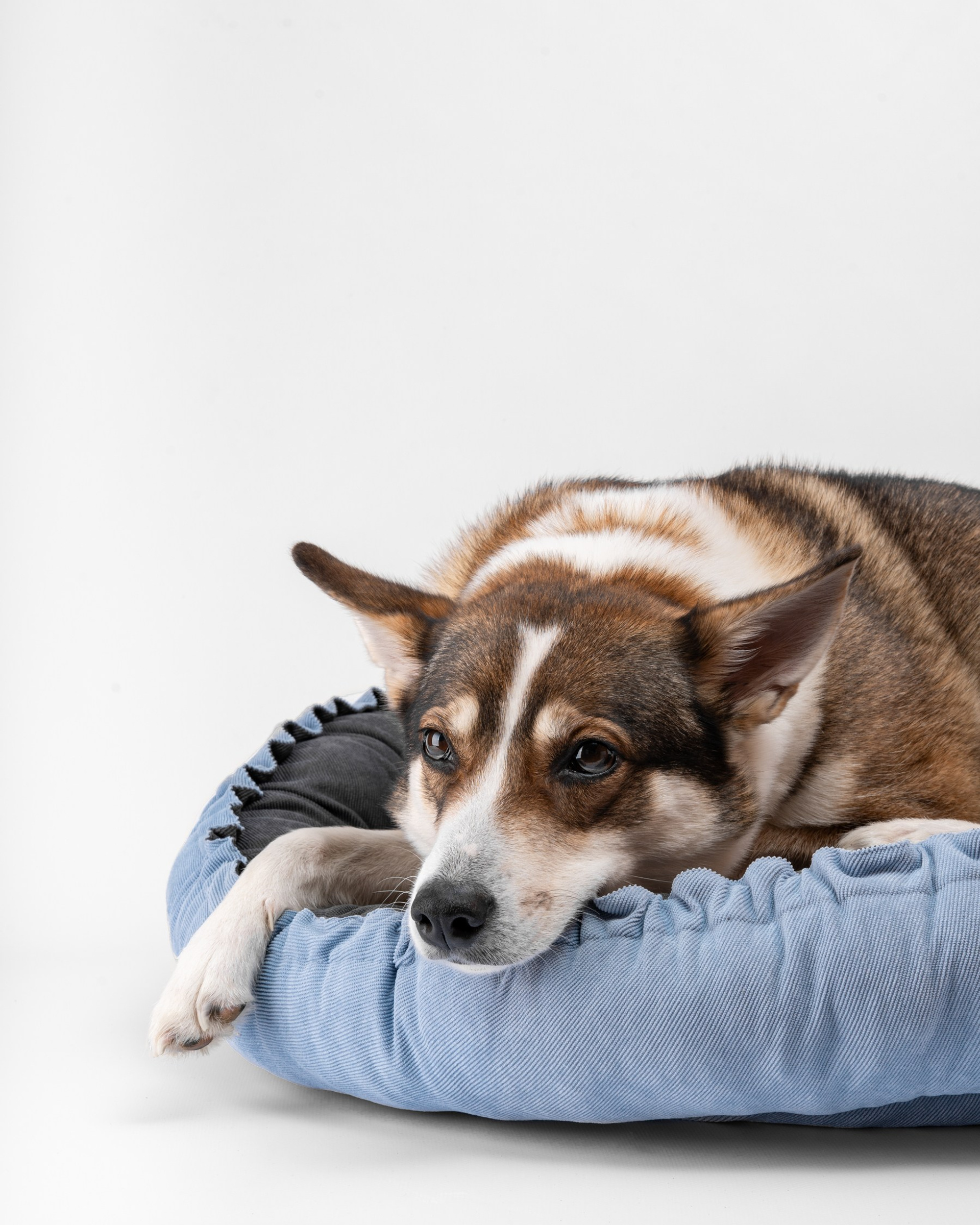 Для животных