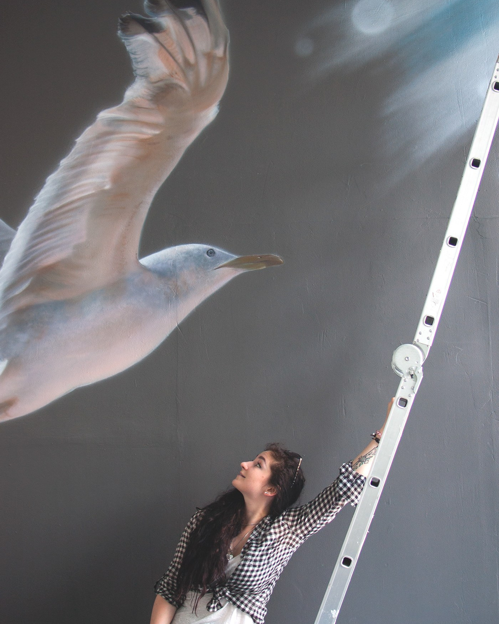 "Чайка по имени Джонатан Ливингстон"