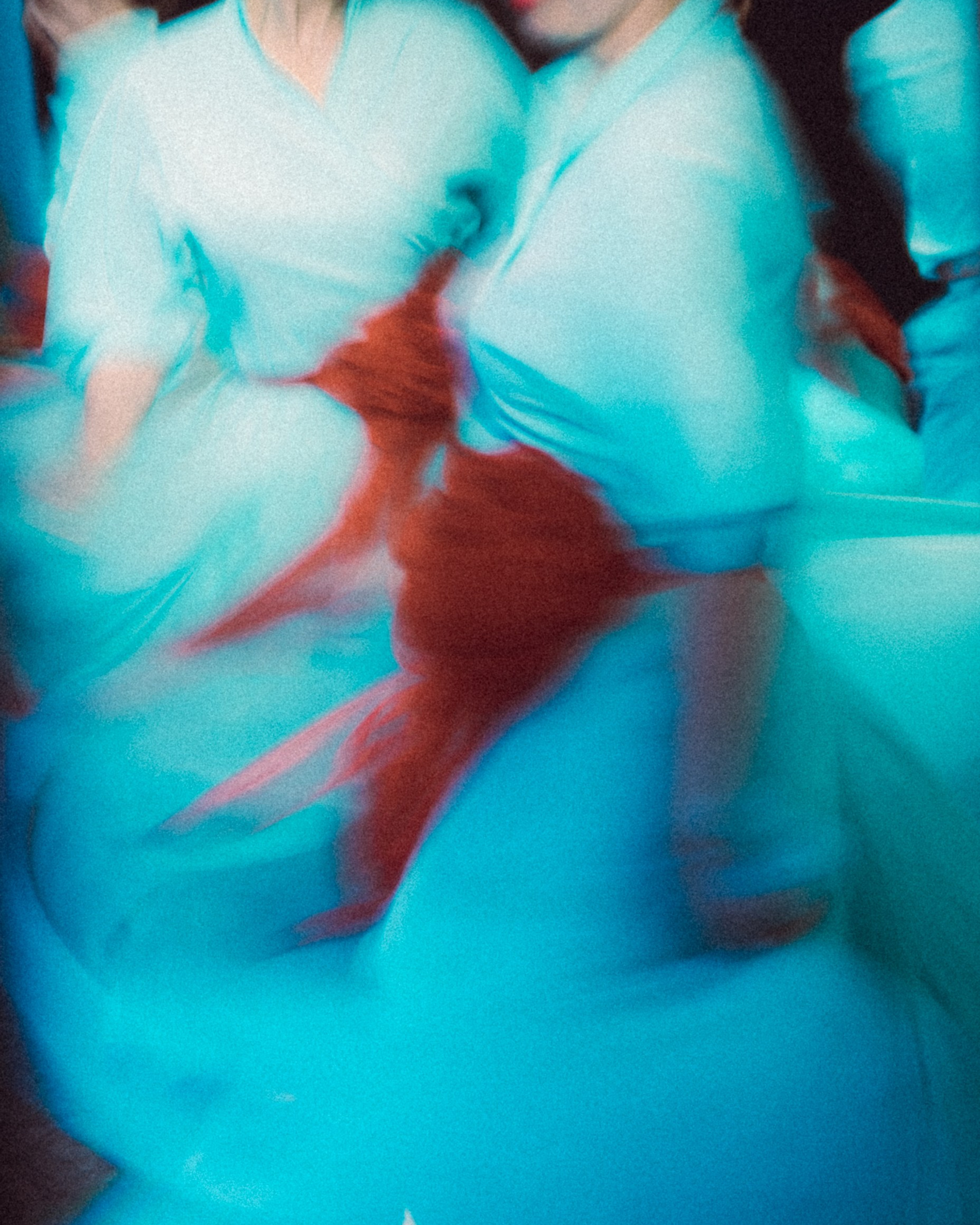 TODES LADY FEST 2024