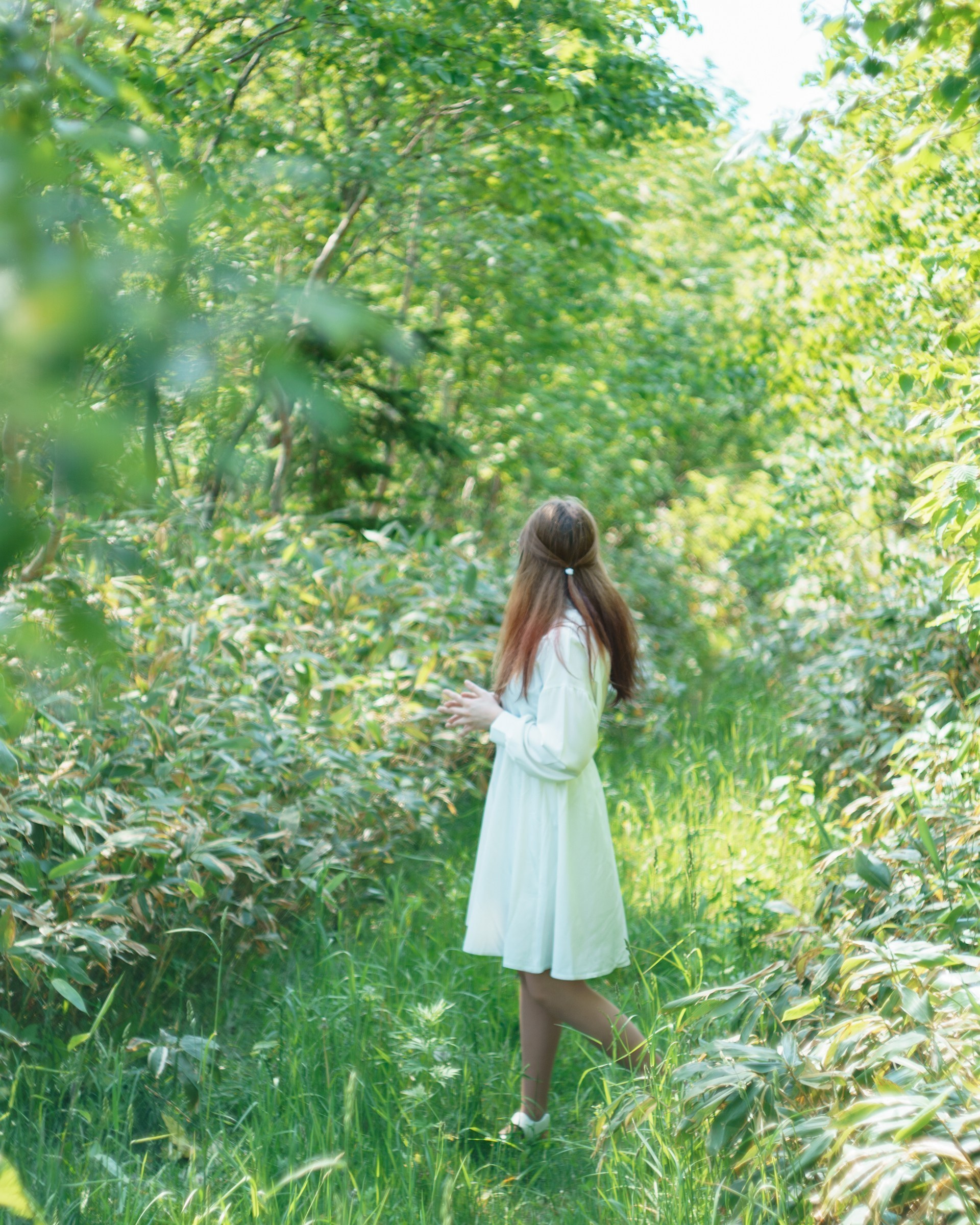 Зеленая тропа