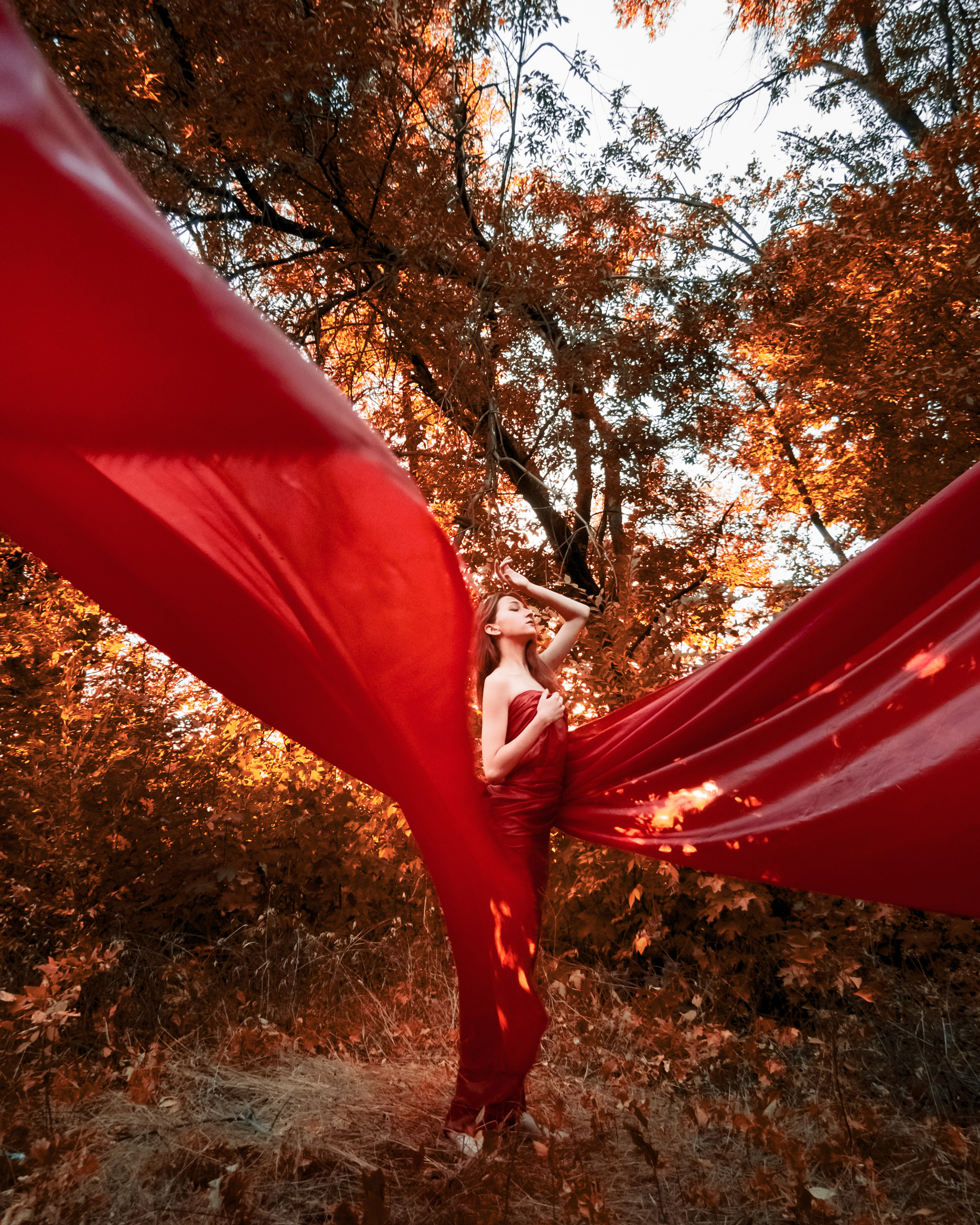 Перерождение