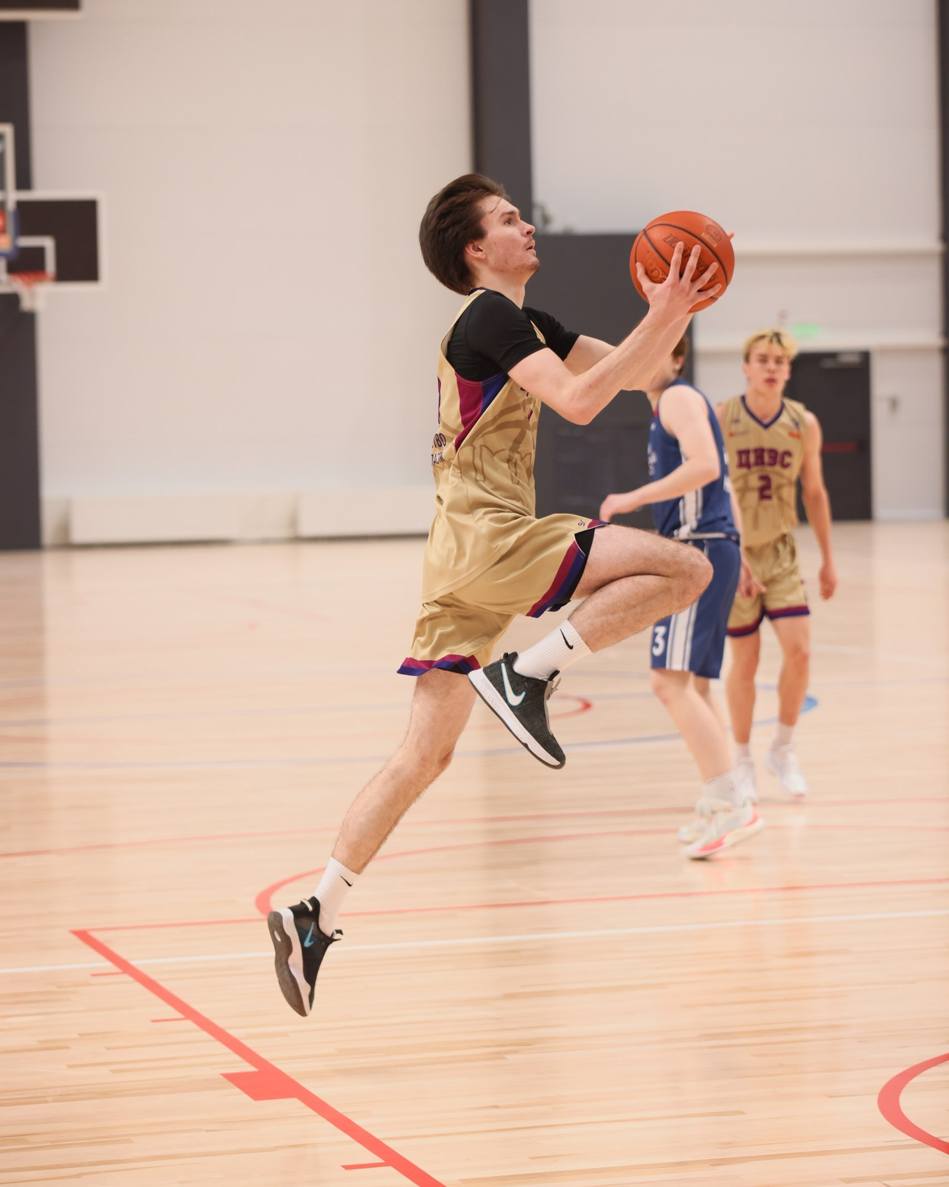 Баскетбол ТулГу VS МГУ