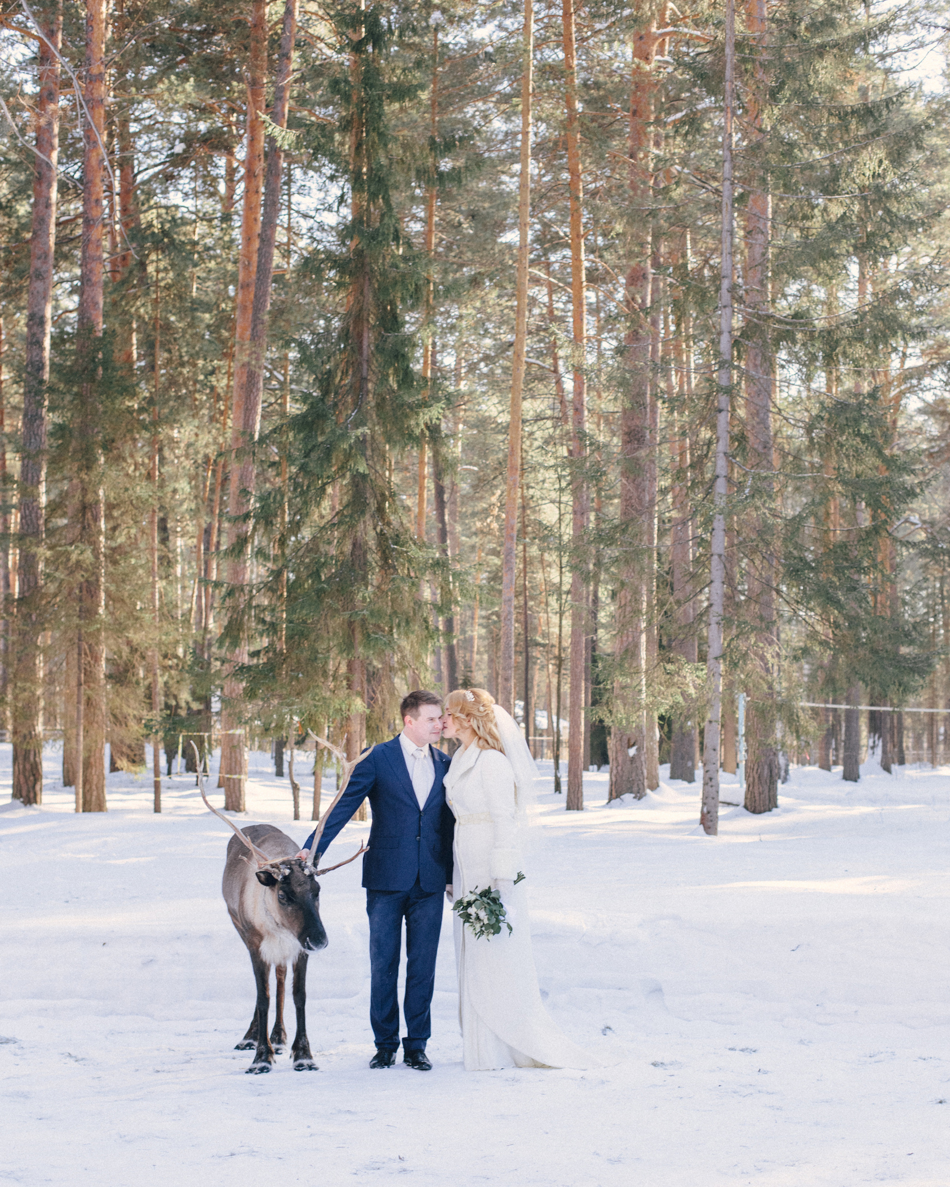 Свадьба снежной королевы