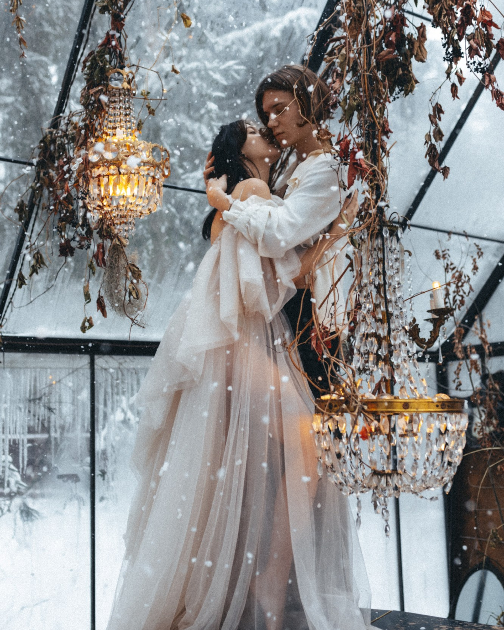 Вампирская сага