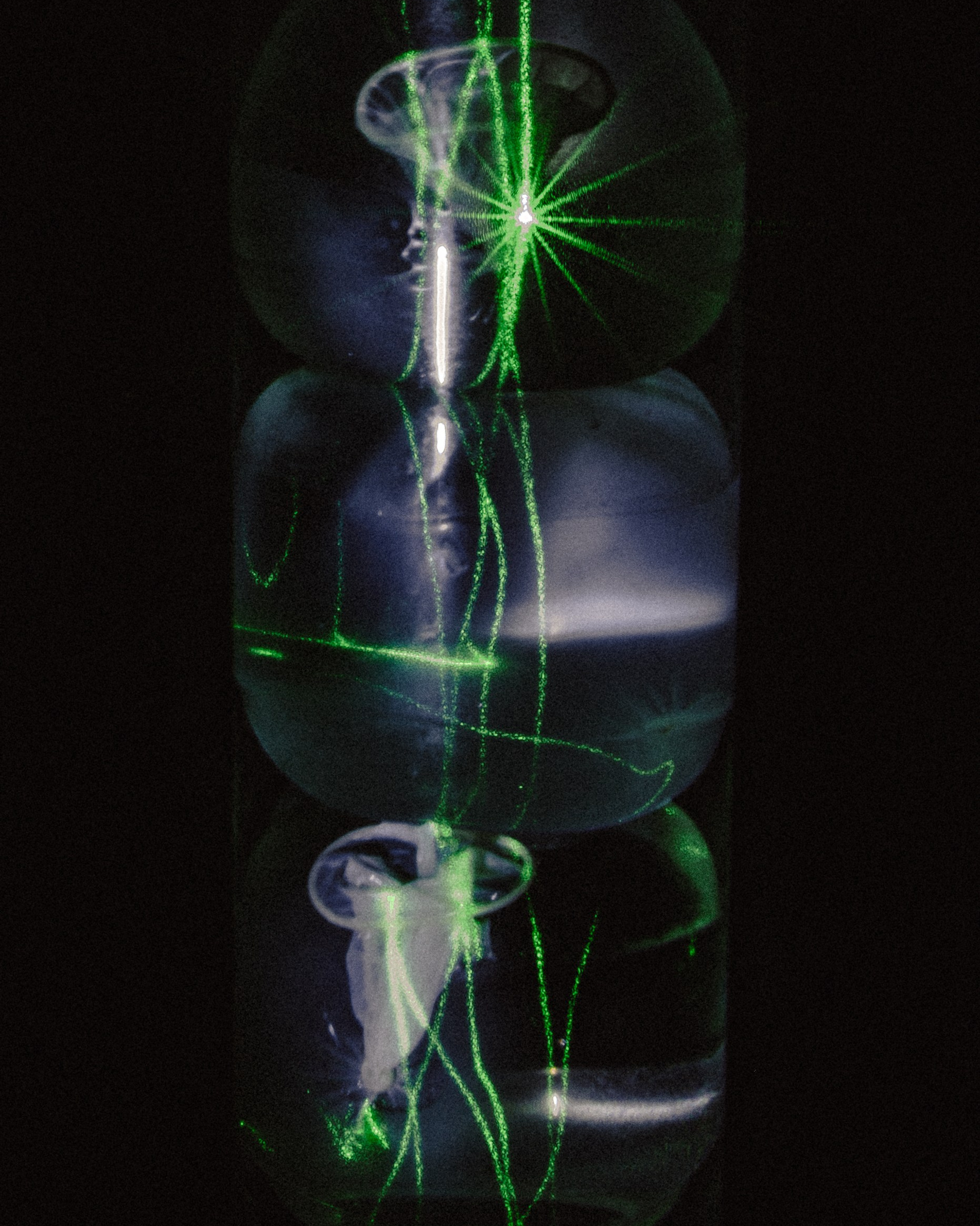 vase