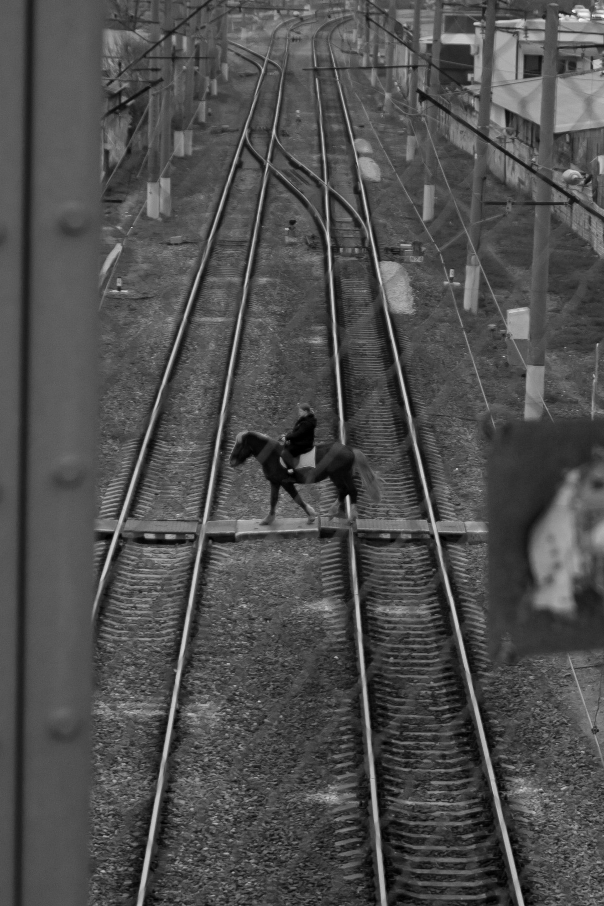 Истории. Портретный фотограф в Краснодаре Слава Никитин