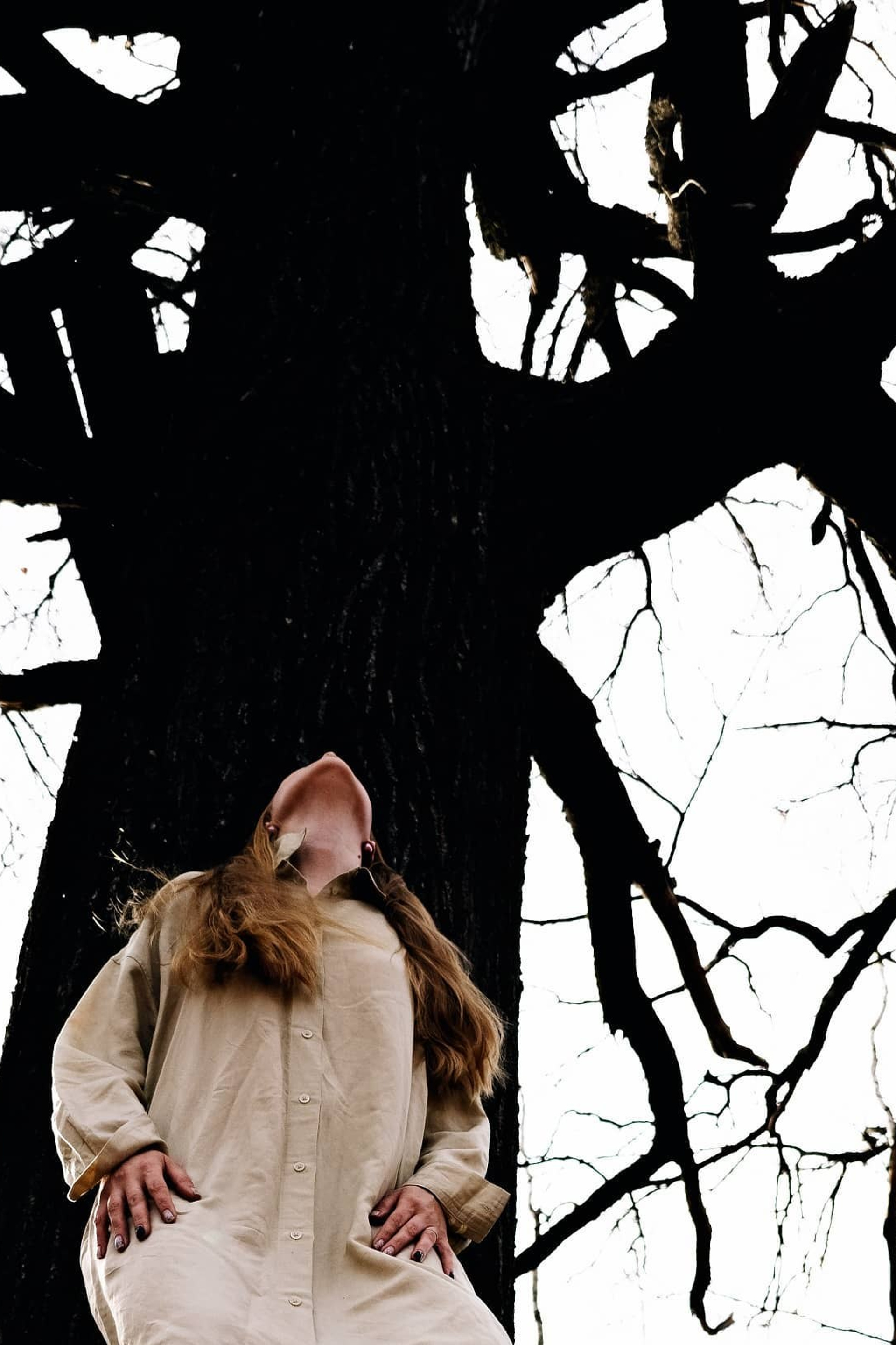 Волшебный лес