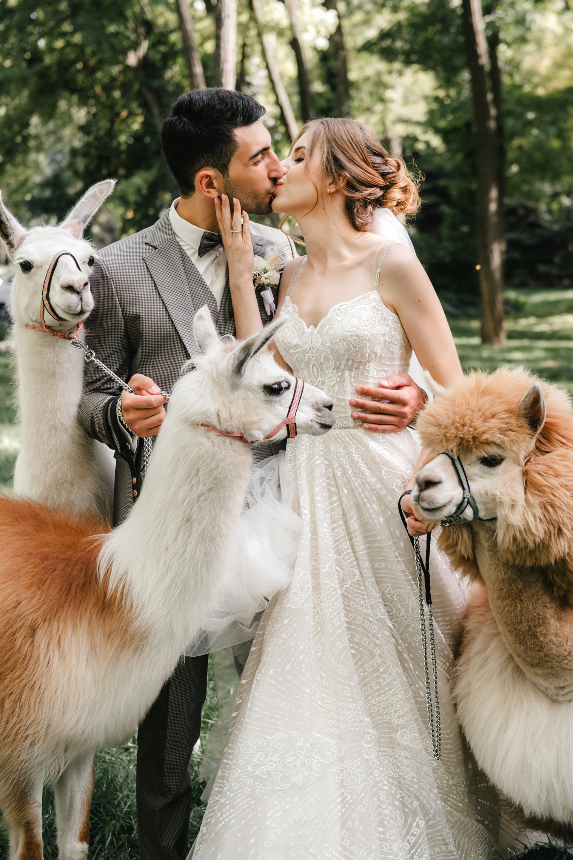 Сергей и Дарья. Свадебный организатор в Ростове-на-Дону Яснов Роман