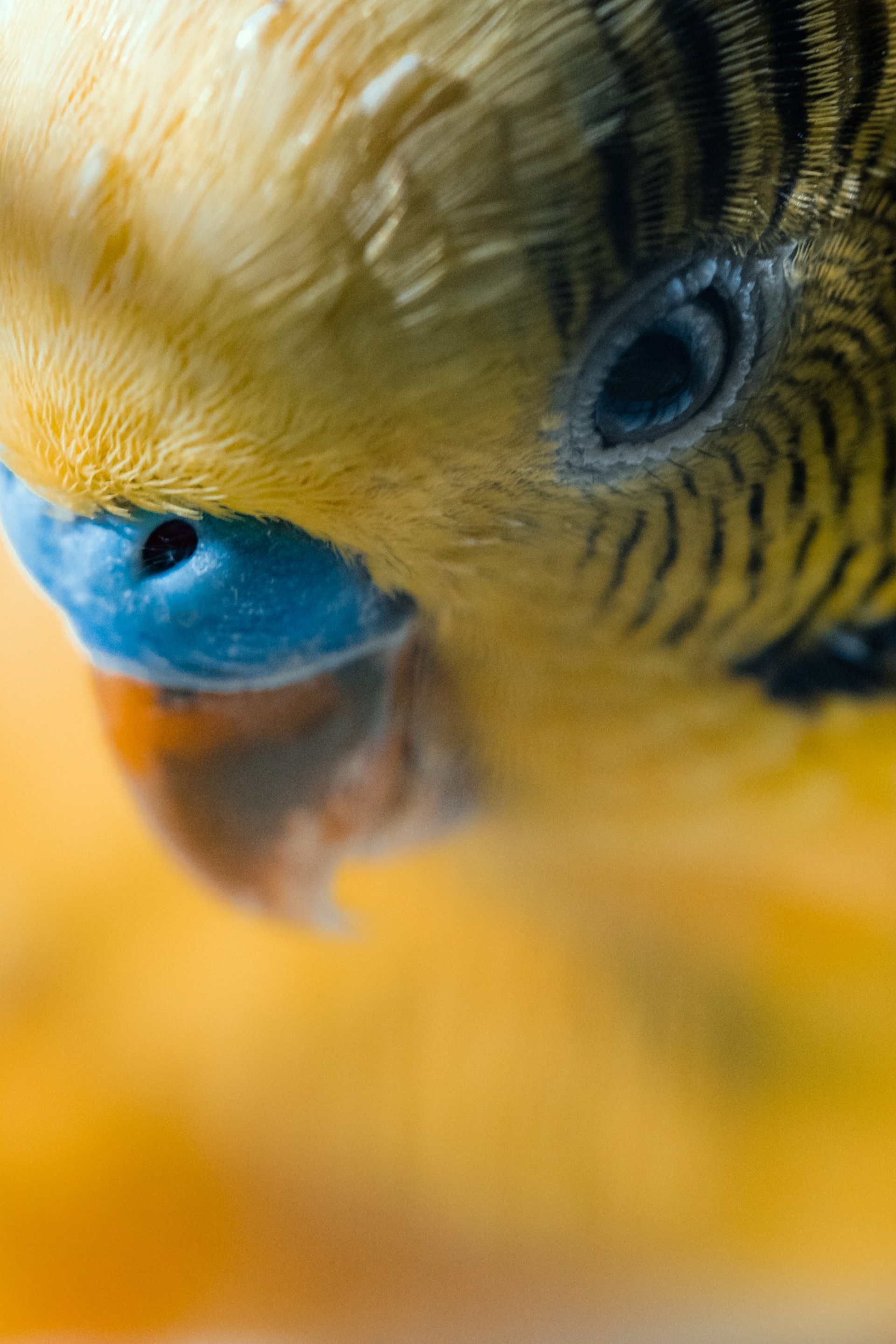 Блог. Alexsedoykin