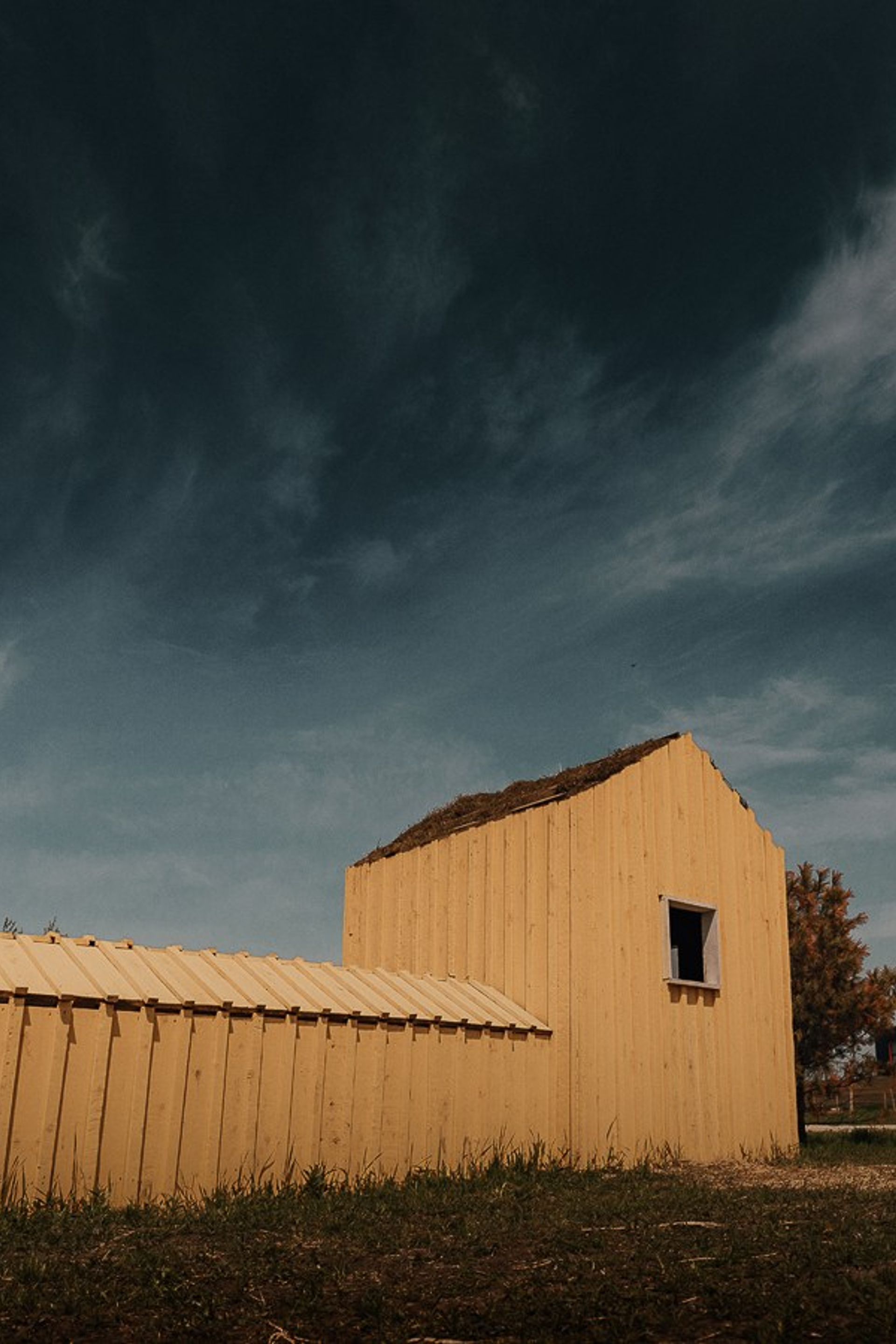 Ферма Альпак. Oskar Dallas™