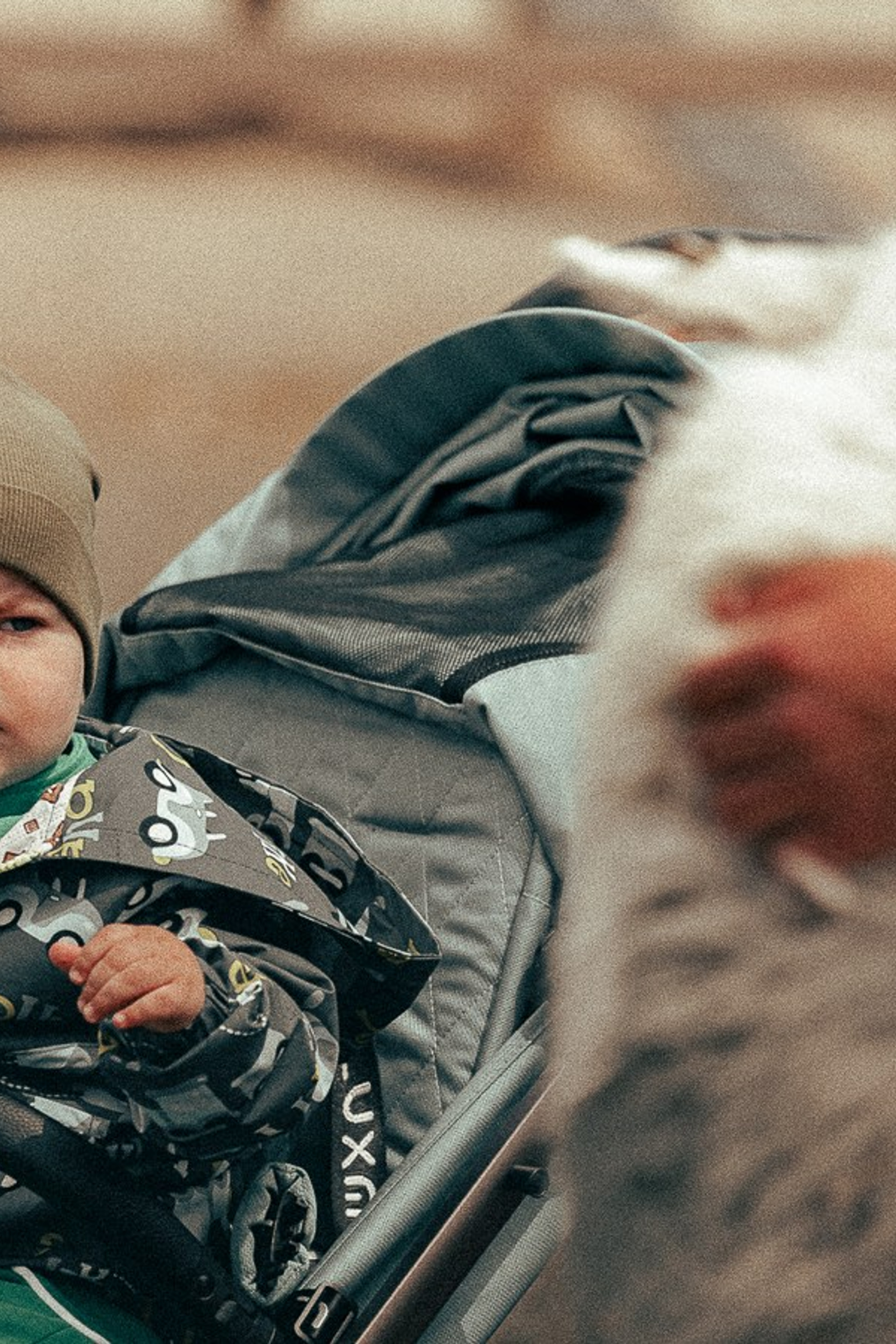 Ферма Альпак. Oskar Dallas™