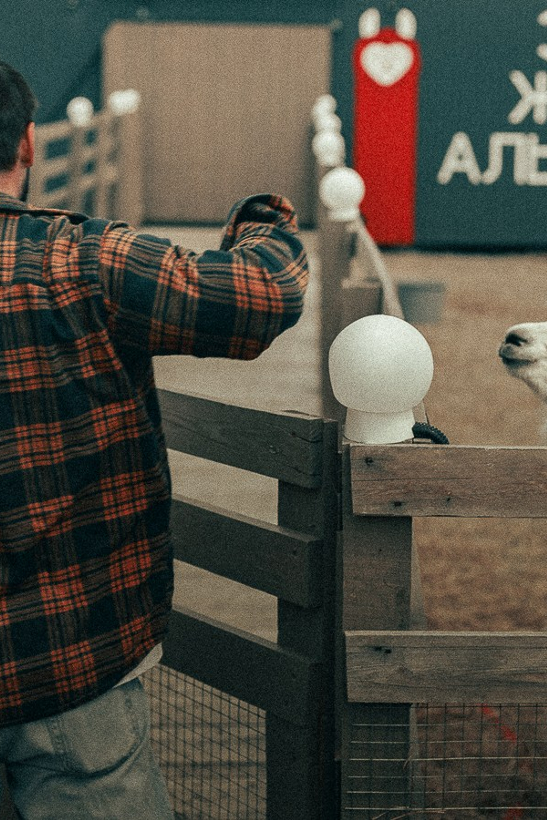 Ферма Альпак. Oskar Dallas™