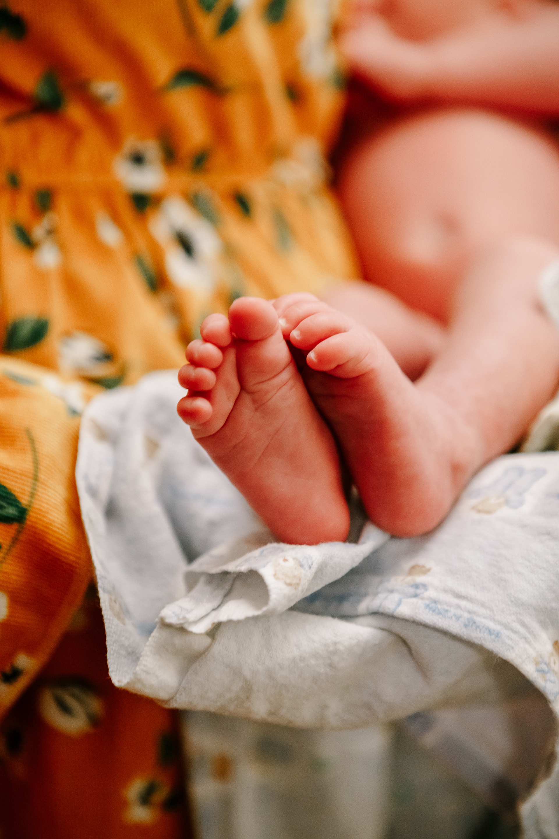 Крещение Тавифы