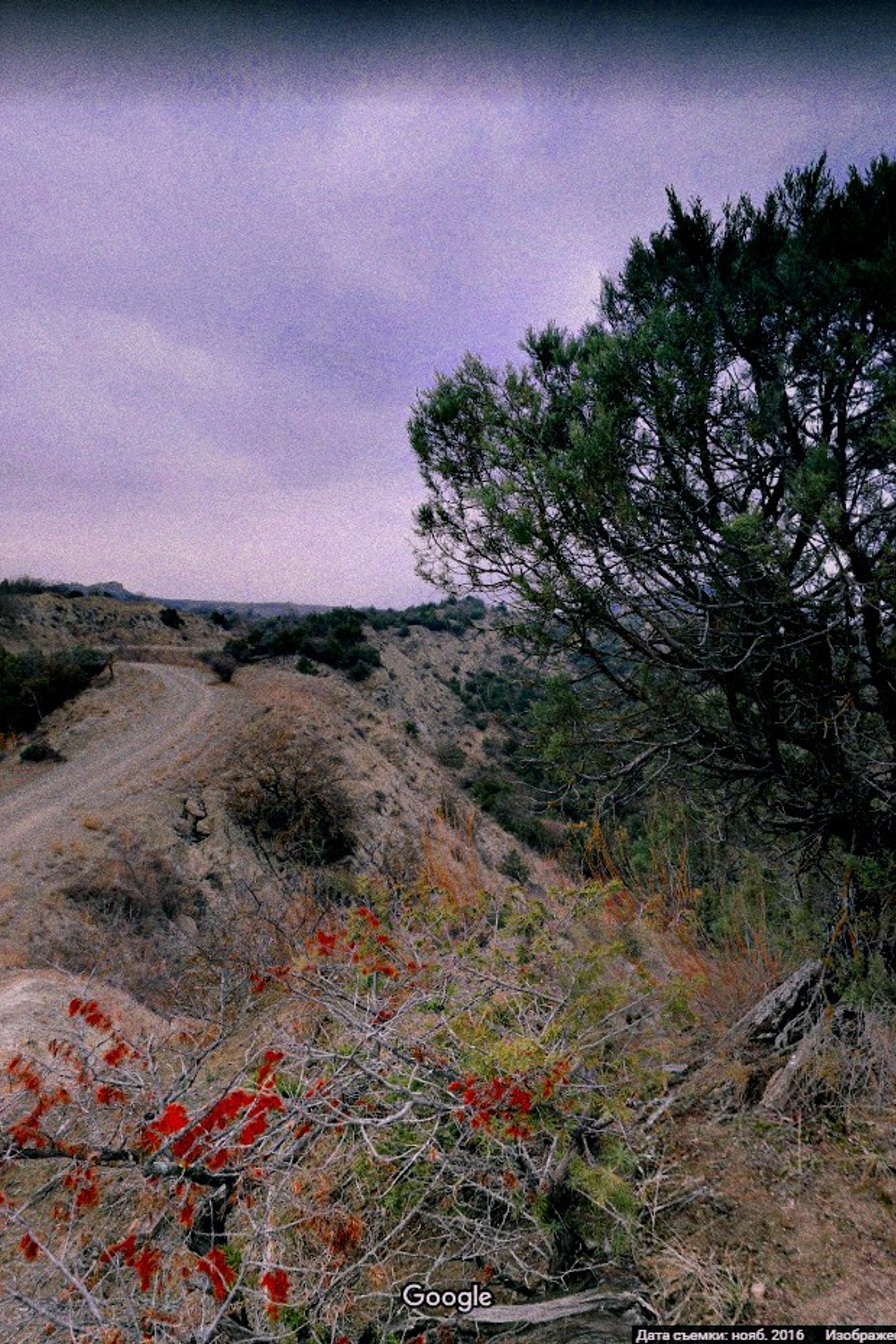 Абхазия. Фотограф Паша Максимов