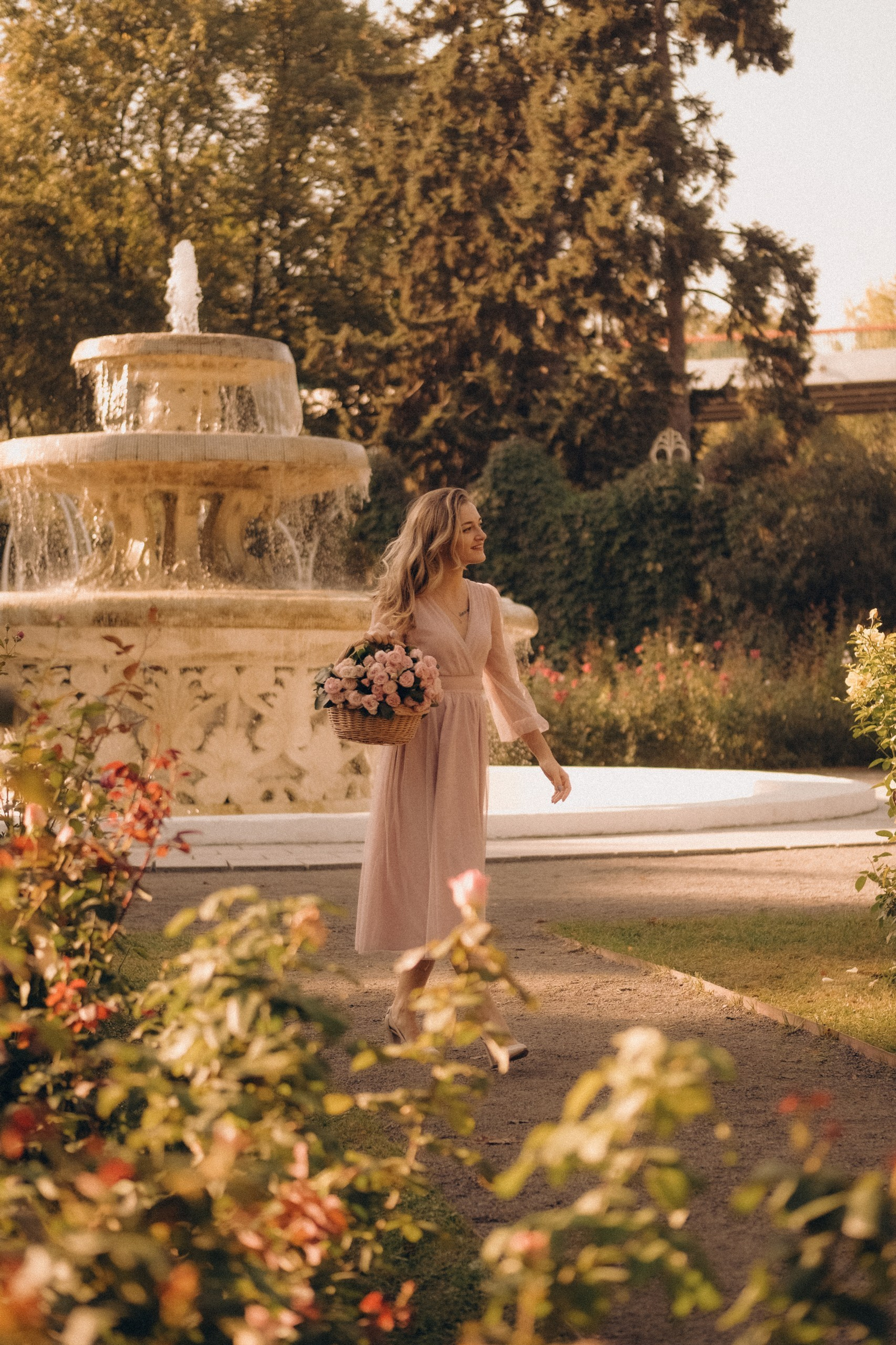 Сентябрьские розы