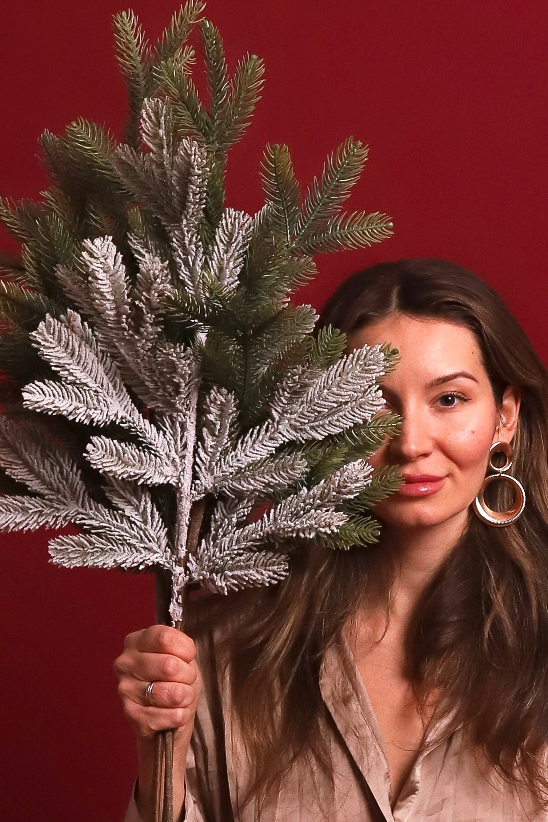 Спелый гранат. ОБЪЕКТИВНАЯ | фотостудия без фотографа | студия автопортрета | Москва