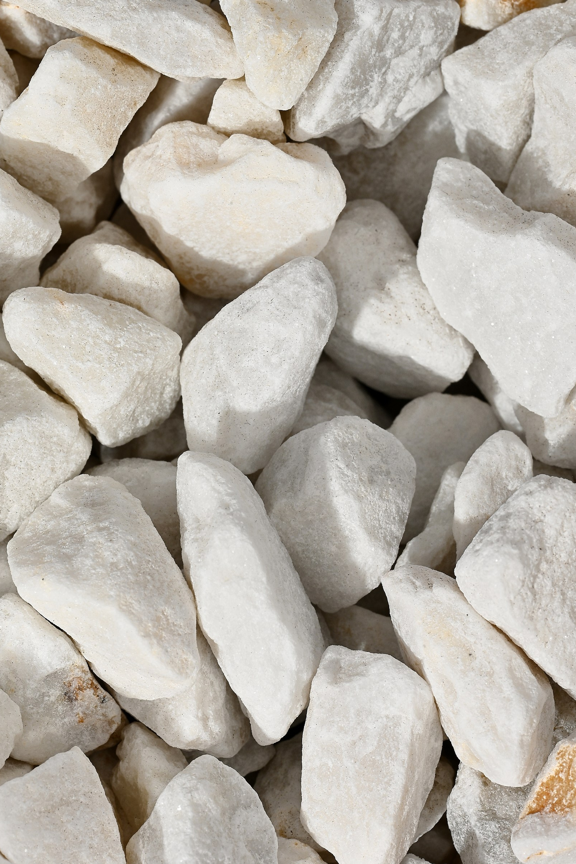 Товары для дома. Предметный контент — фотограф в Саратове Юлия