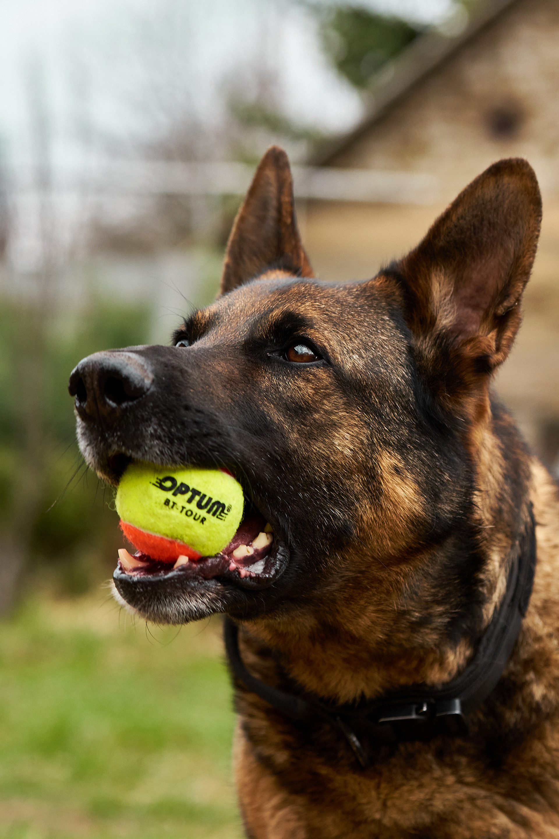 Предметная съемка. Предметный контент — фотограф в Саратове Юлия