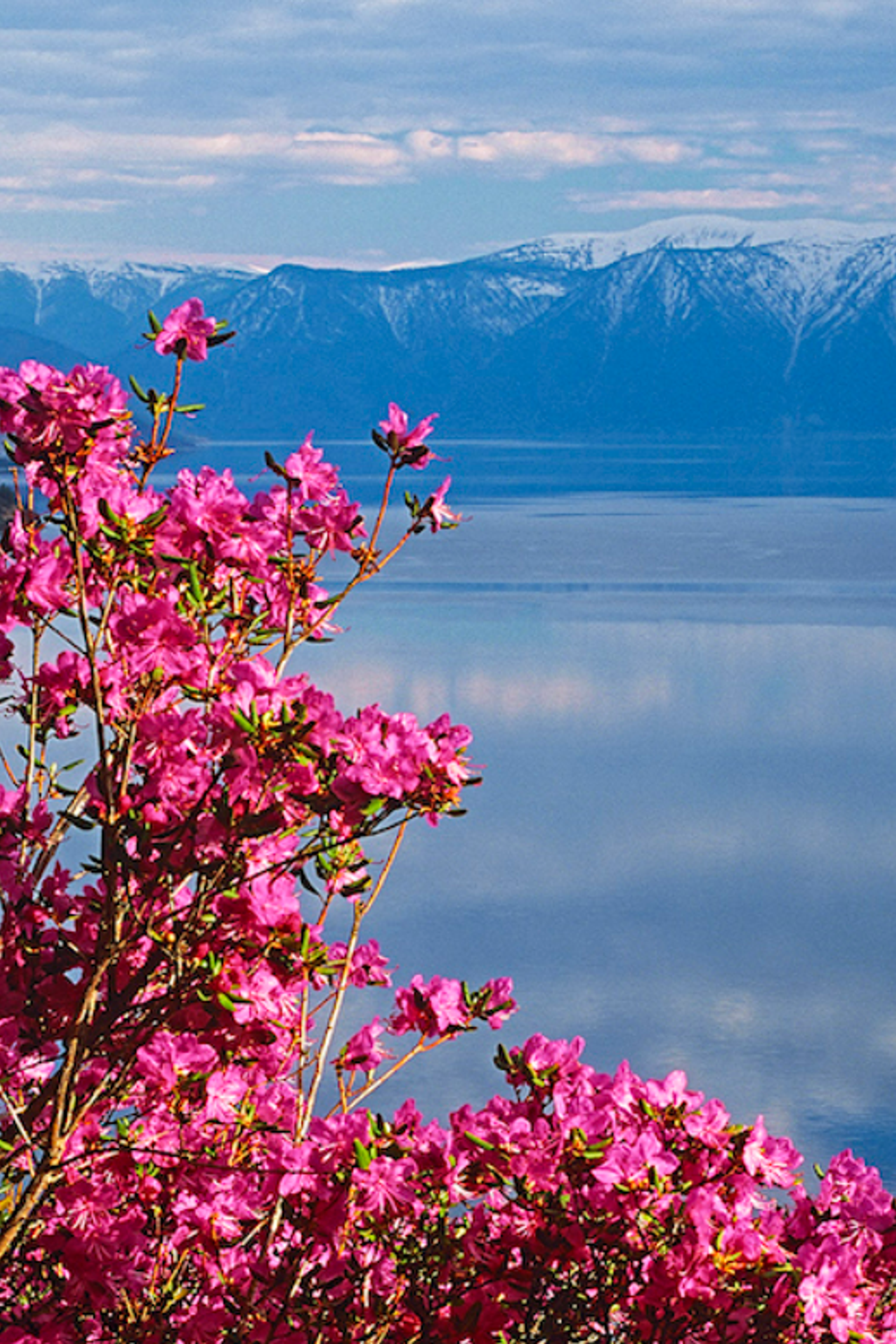 Истории. Главная