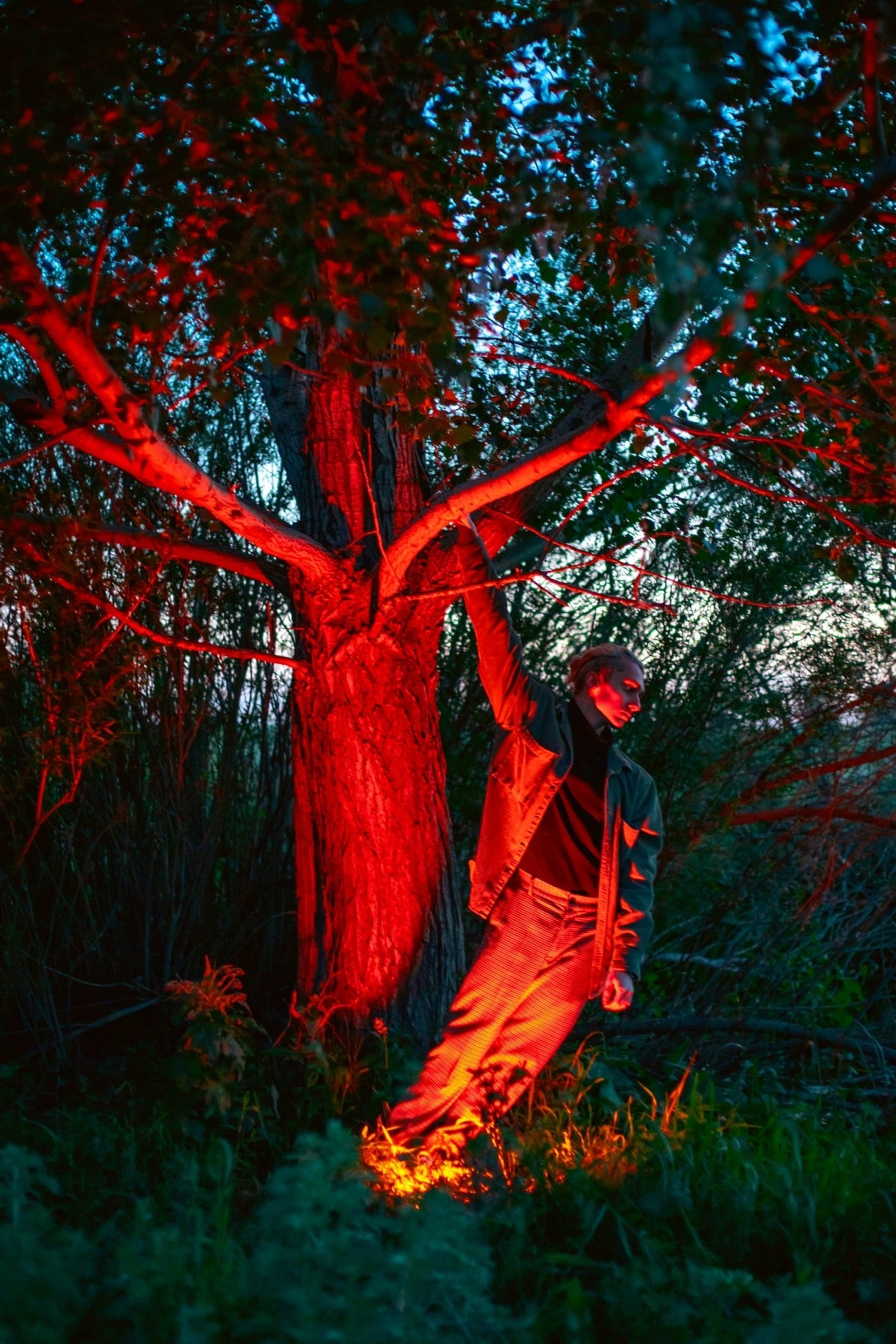 Художественные портреты