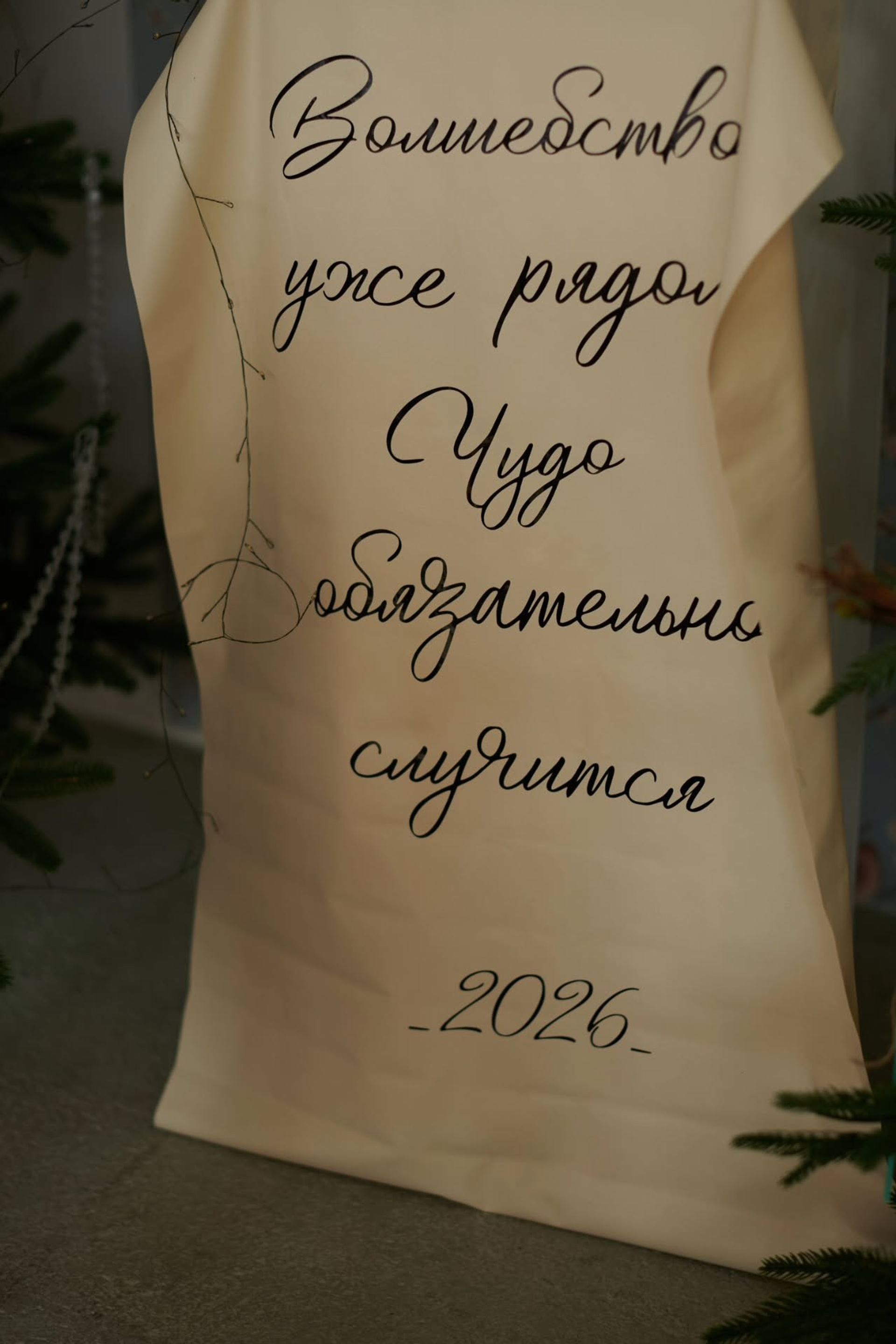 SOFT — Новогодние залы 2026. Фотограф Сергей Салманов Studiophotosharm